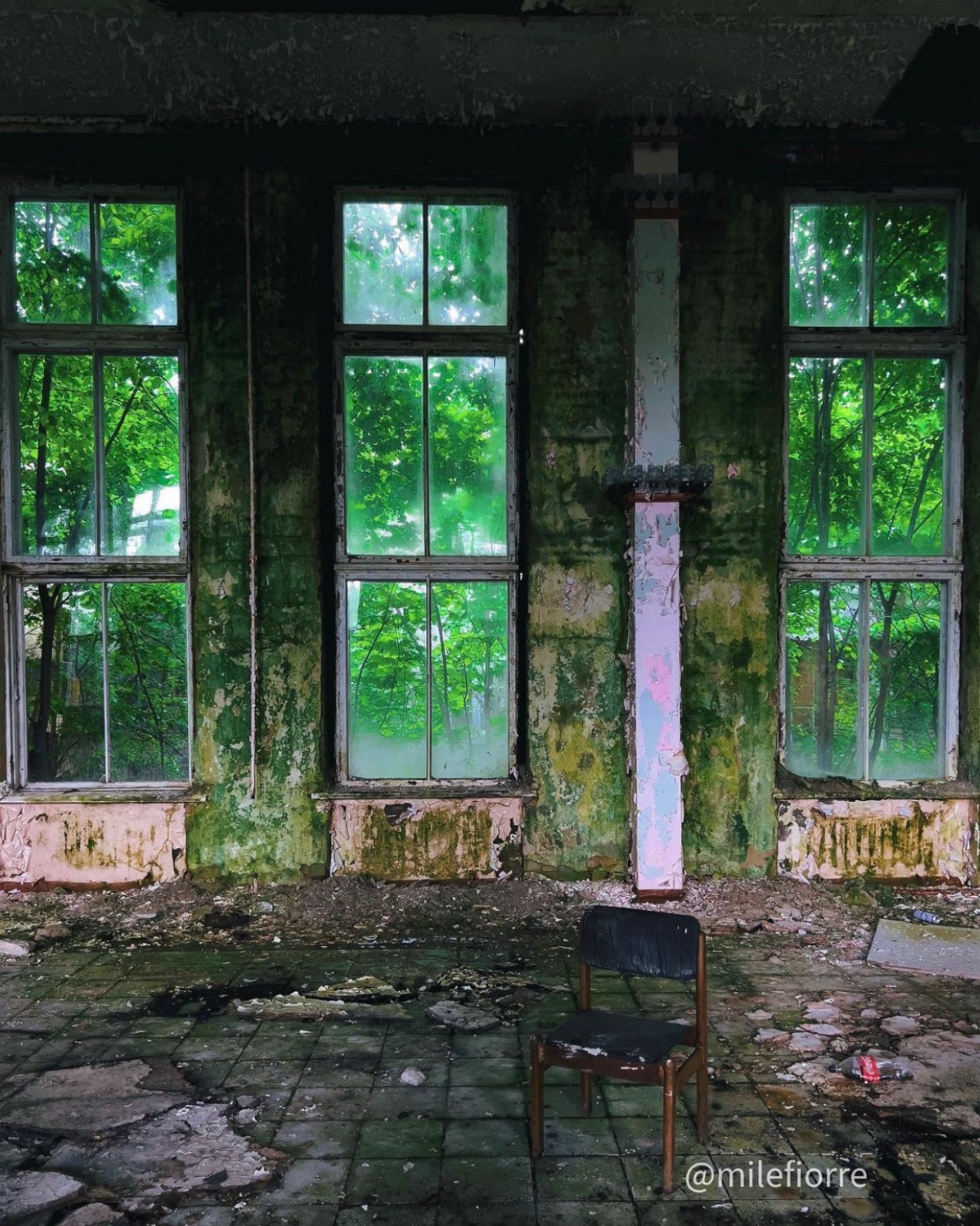 Источник: Инстаграм (запрещен в РФ) Алины Романовой @milefiorre