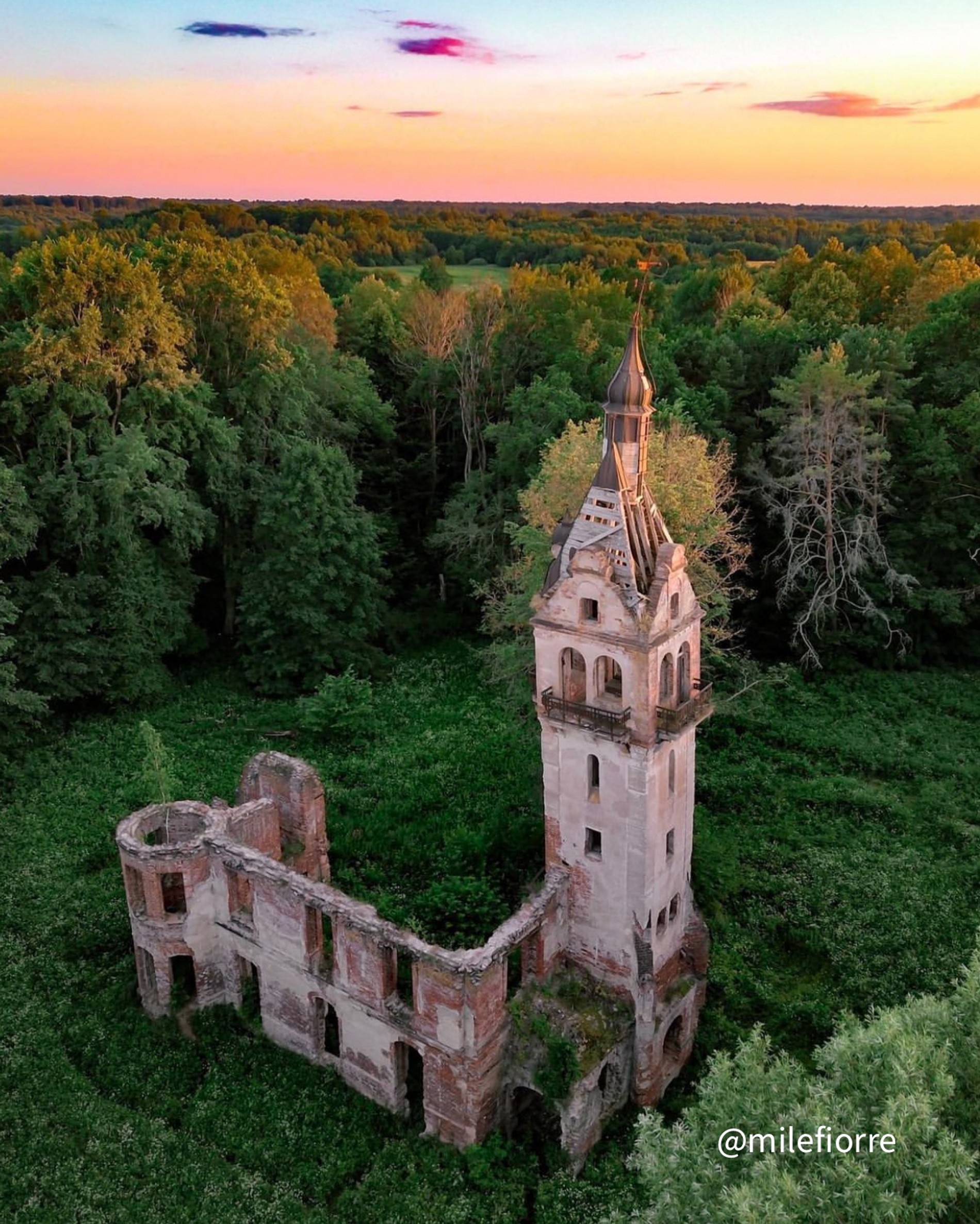 Источник: Инстаграм (запрещен в РФ) Алины Романовой @milefiorre