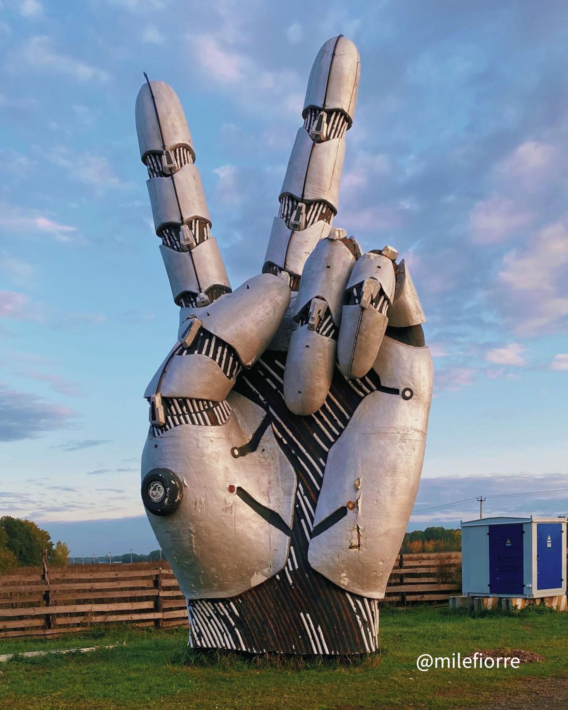 Источник: Инстаграм (запрещен в РФ) Алины Романовой @milefiorre