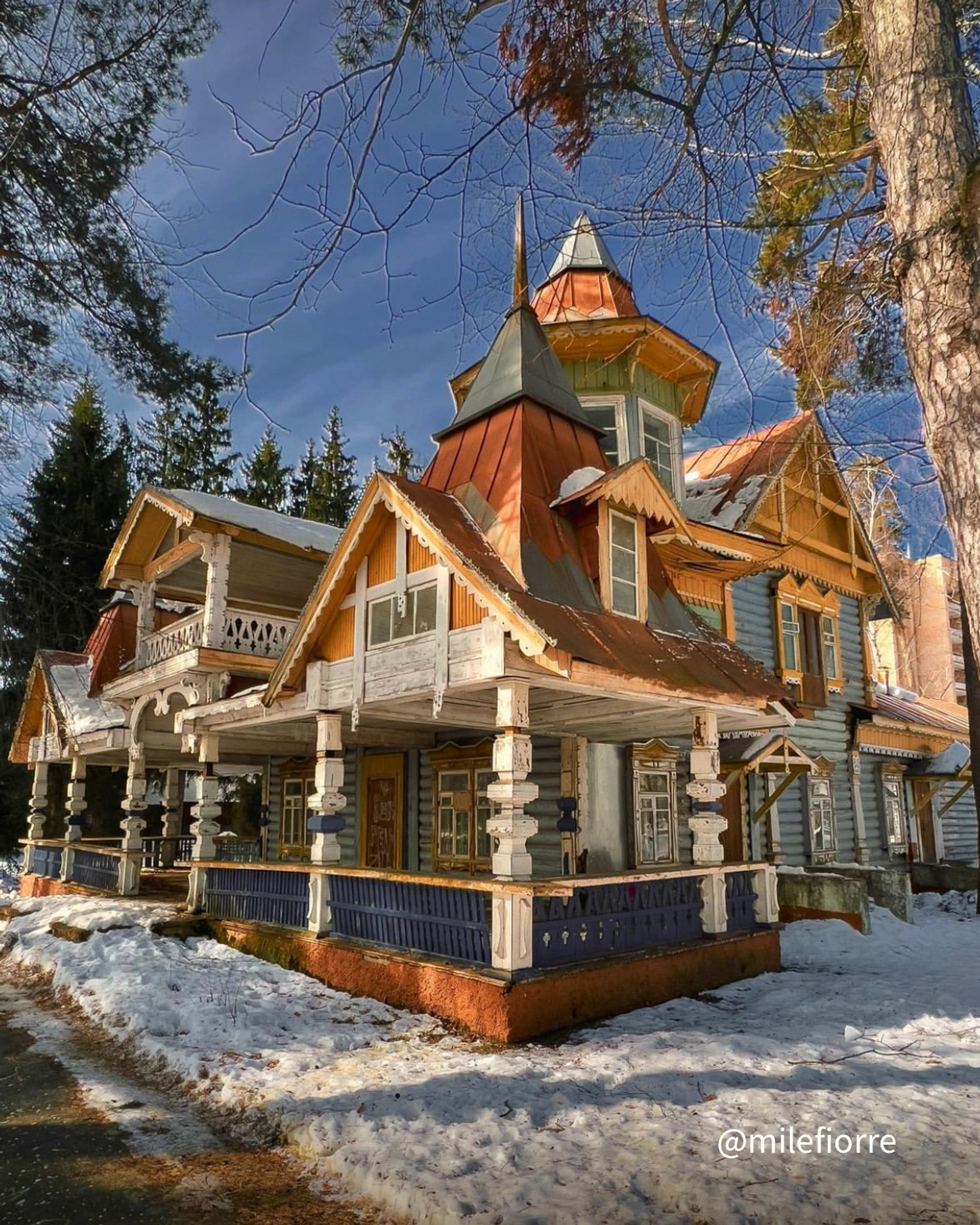 Источник: Инстаграм (запрещен в РФ) Алины Романовой @milefiorre