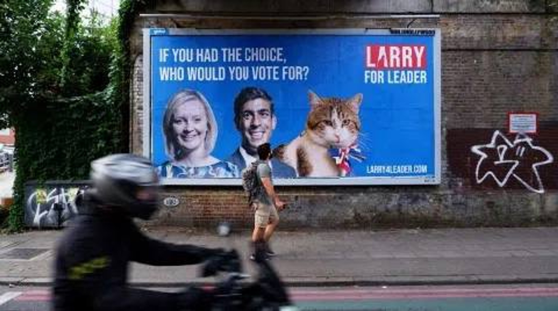 Фото: Twitter (запрещен в РФ)
Билборд, предвыборная кампания кота Ларри