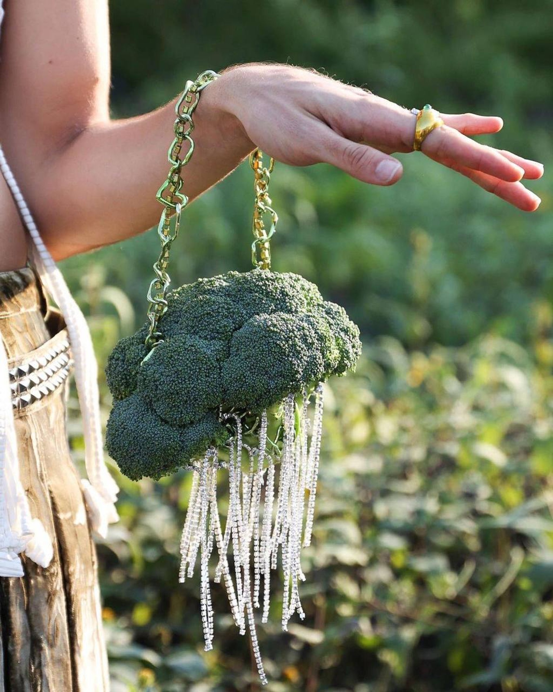 Фото: телеграм