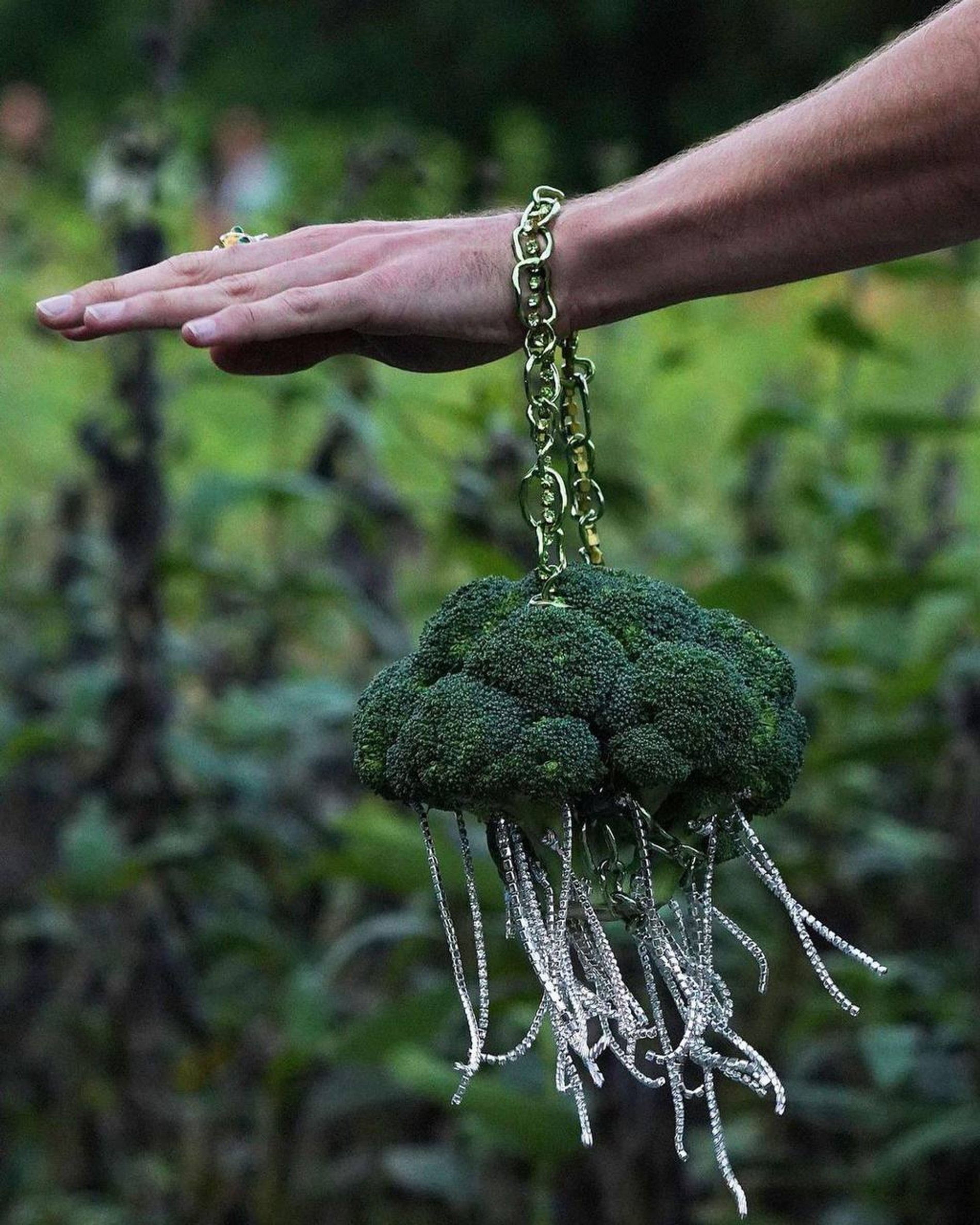 Фото: телеграм