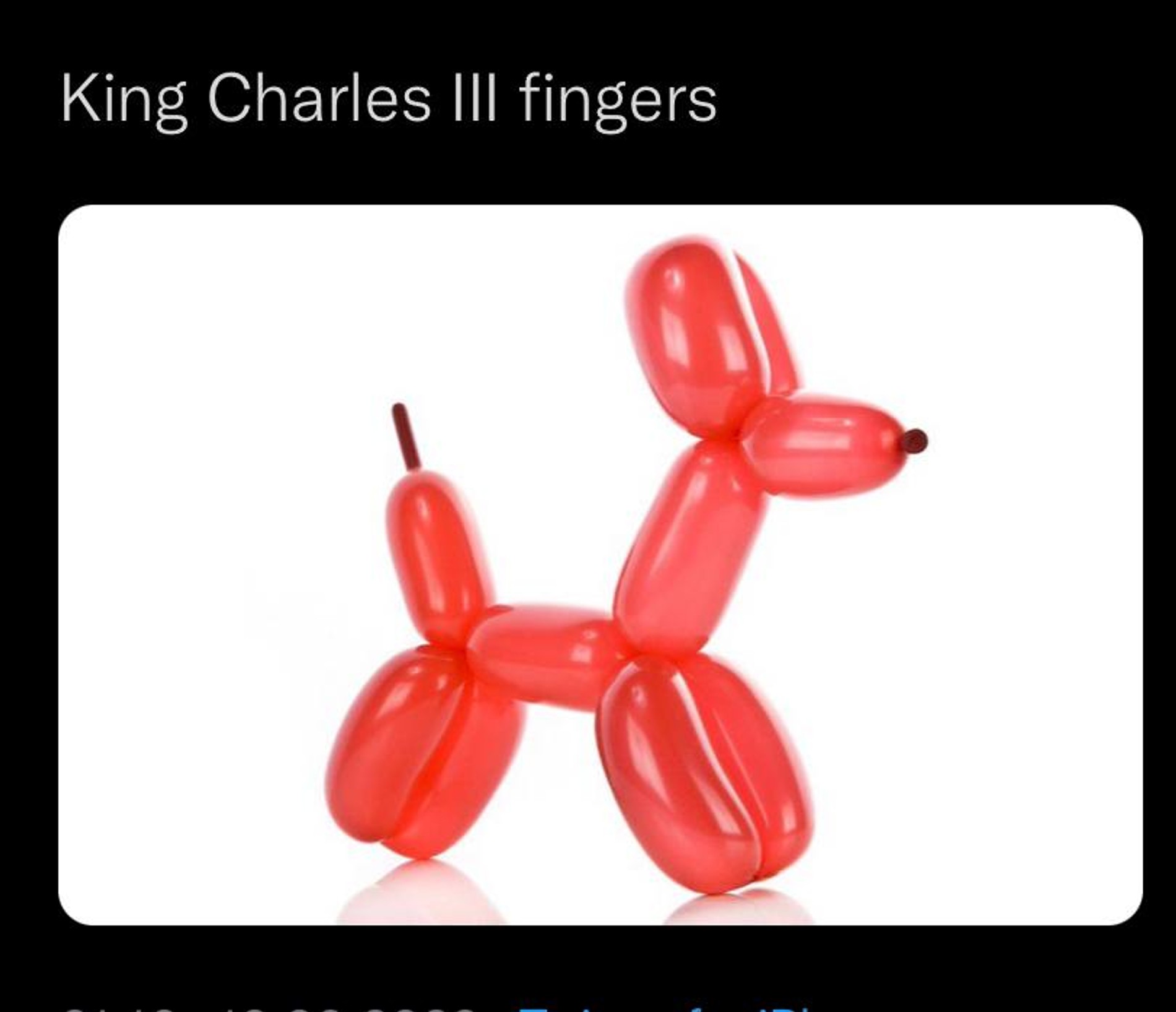 Подпись: Пальцы короля Карла III. Фото: Twitter (запрещен в РФ)