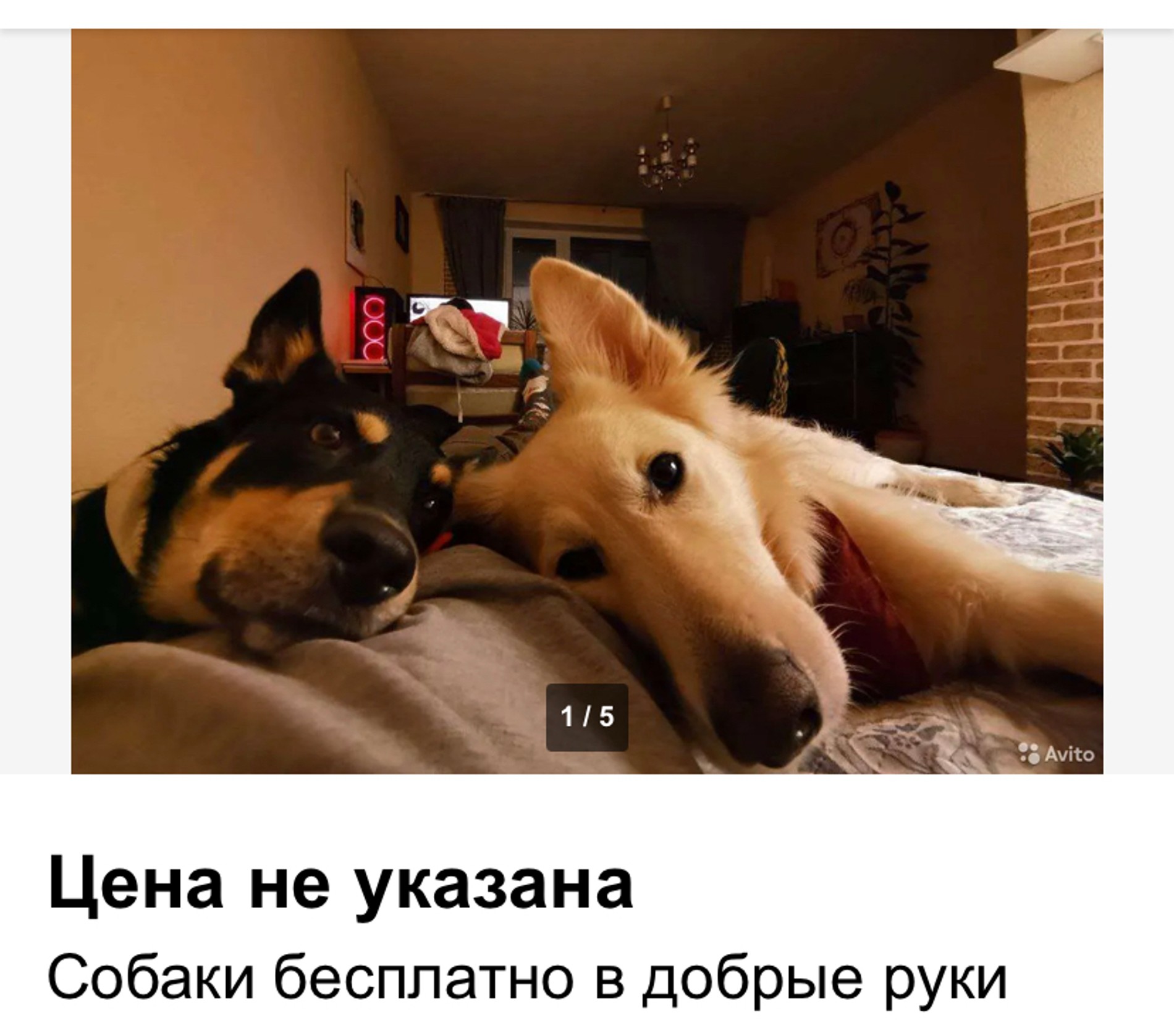 Источник: Avito