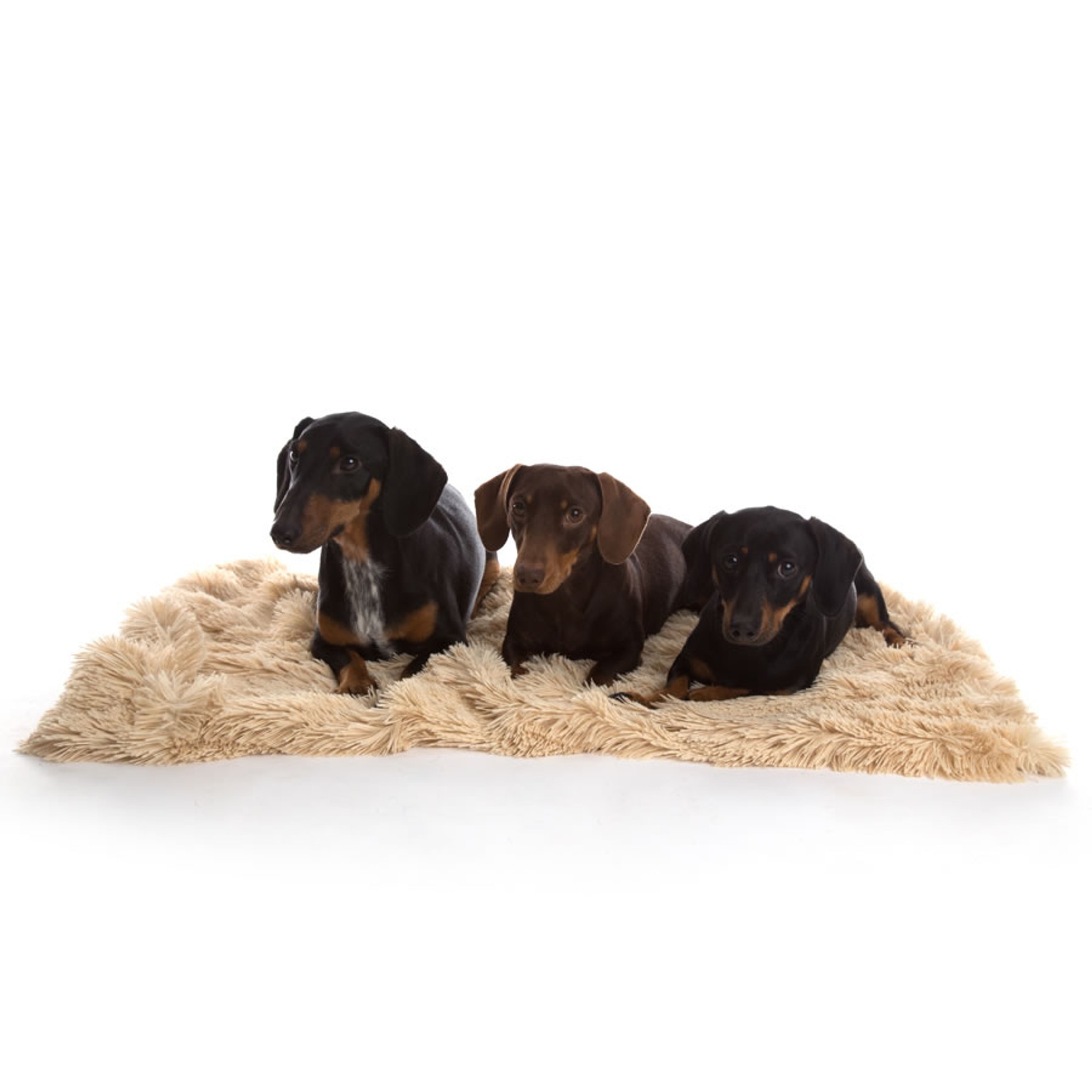 Фото: Инстаграм (запрещен в РФ)