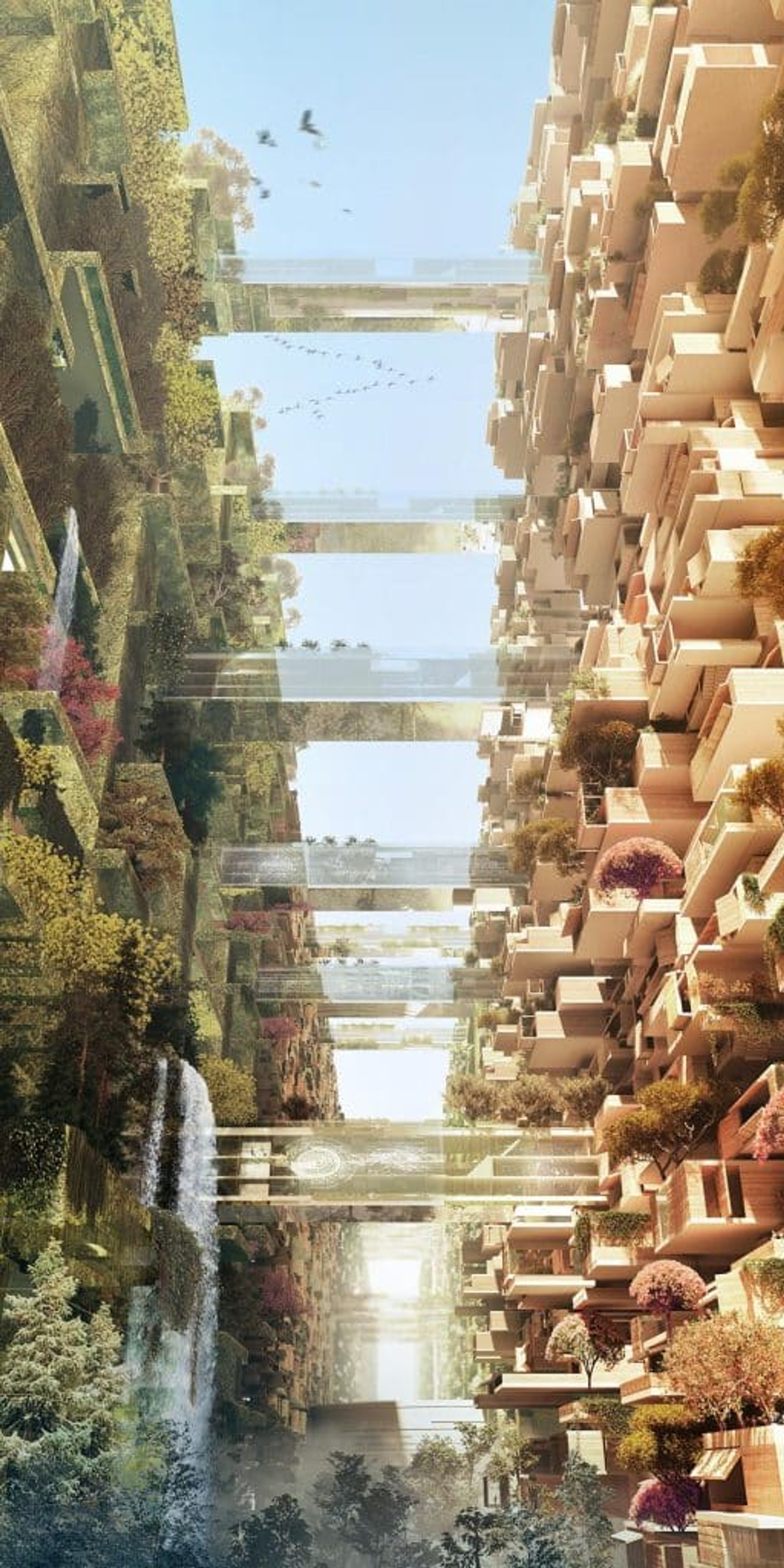 Фото: The Line Project