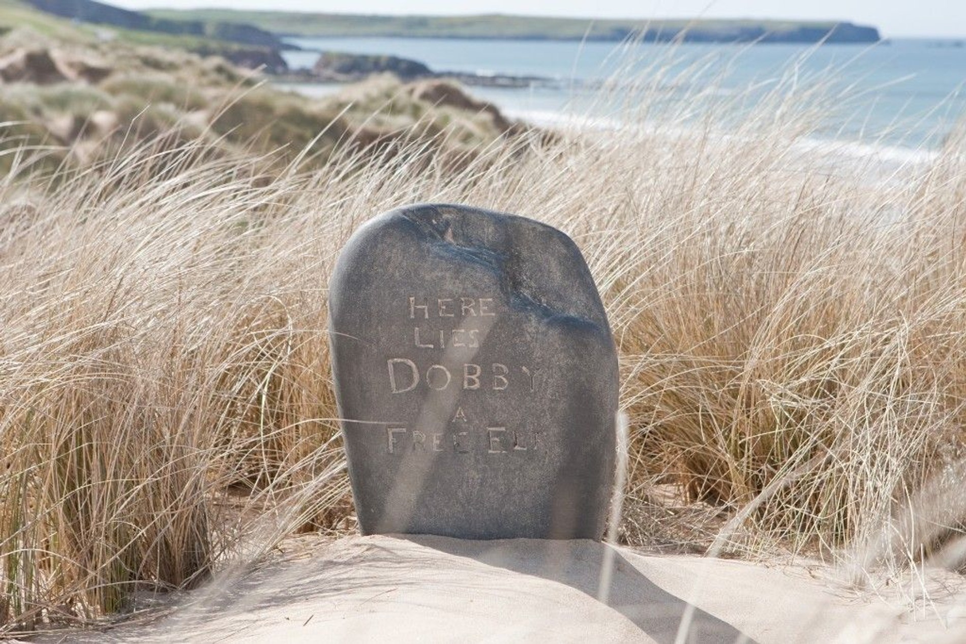 Могила Добби
Фото: infopovod.ru