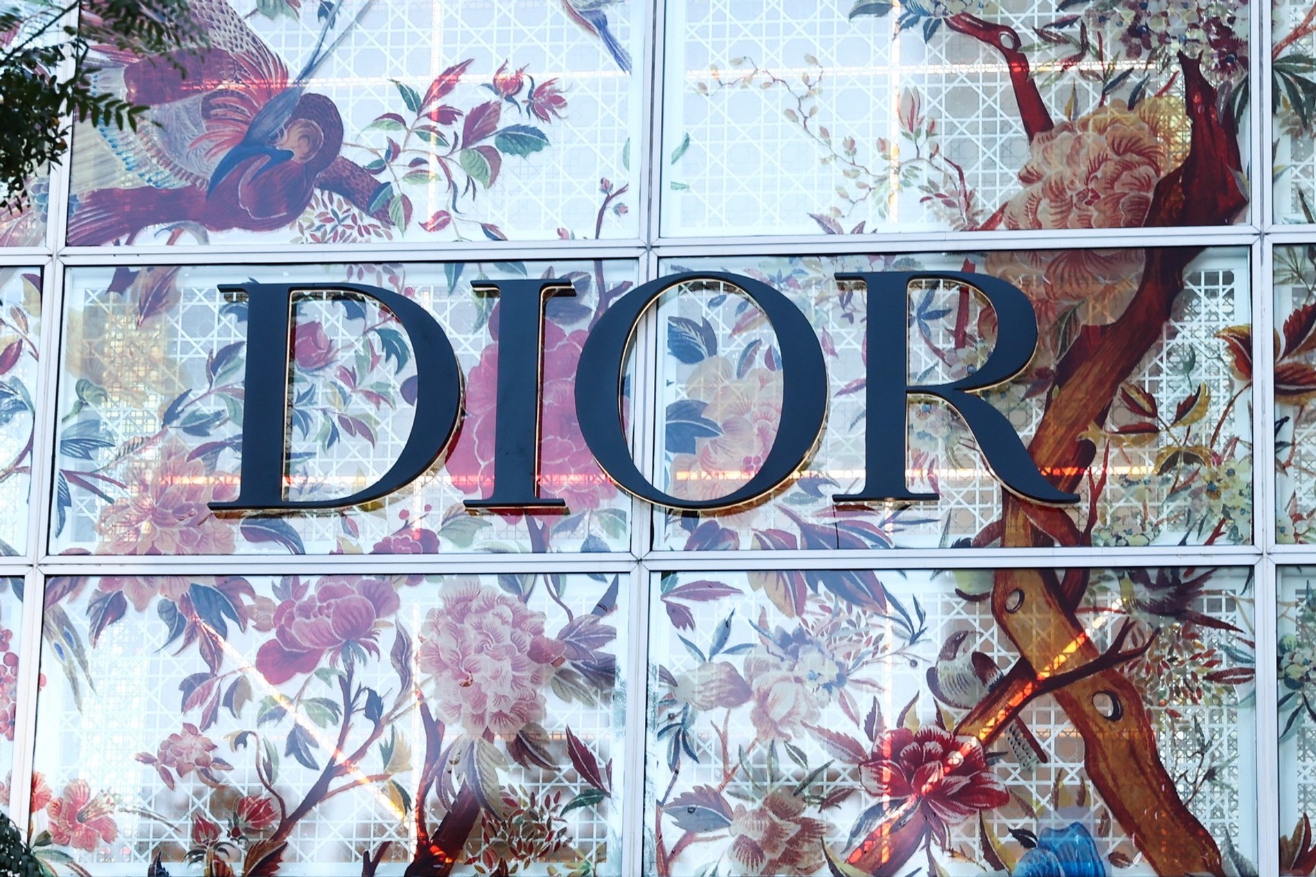 Почему модный дом Dior подал в суд на порноактрису