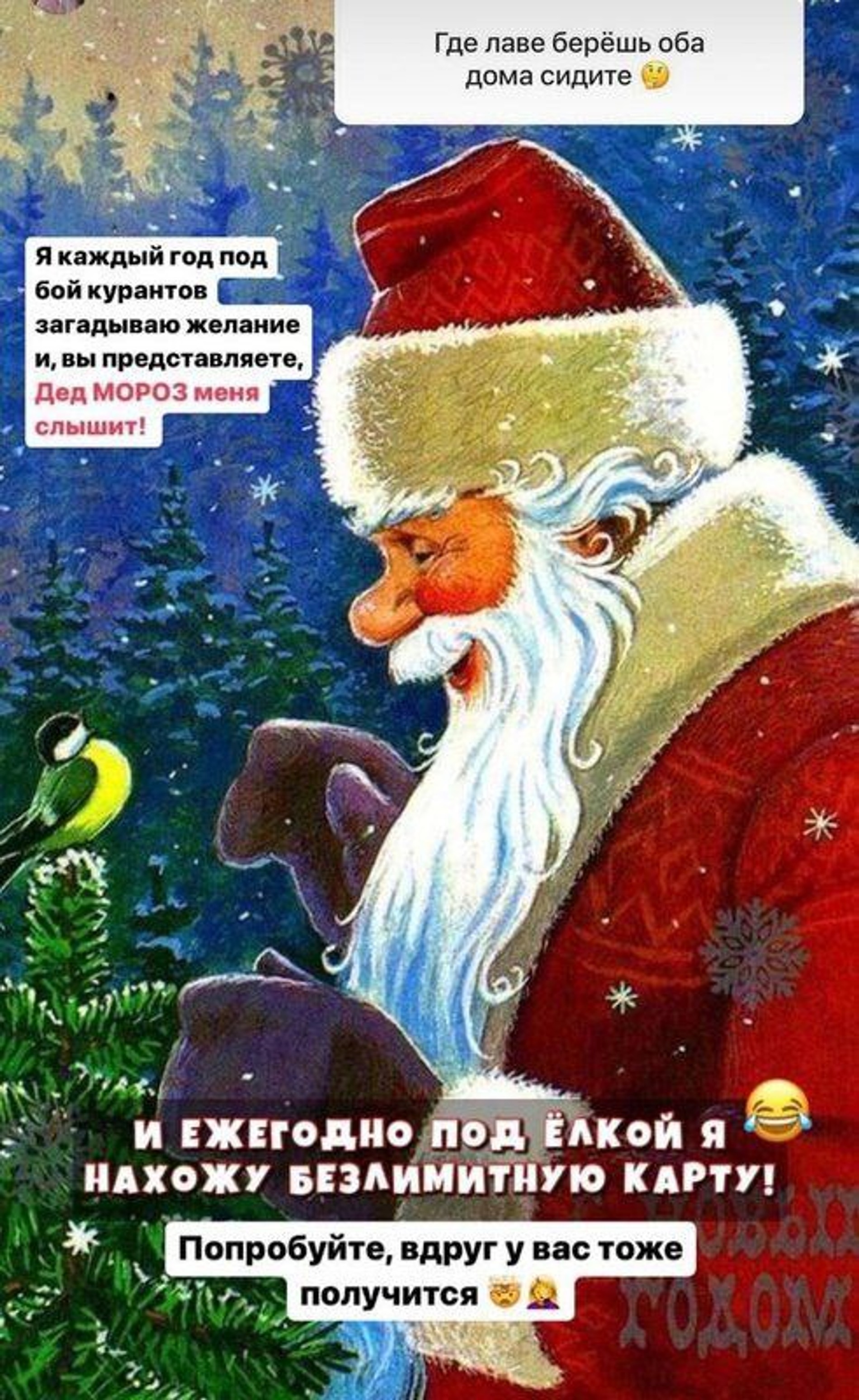 Фото: Инстаграм (запрещен в РФ) Юлии Ефременковой