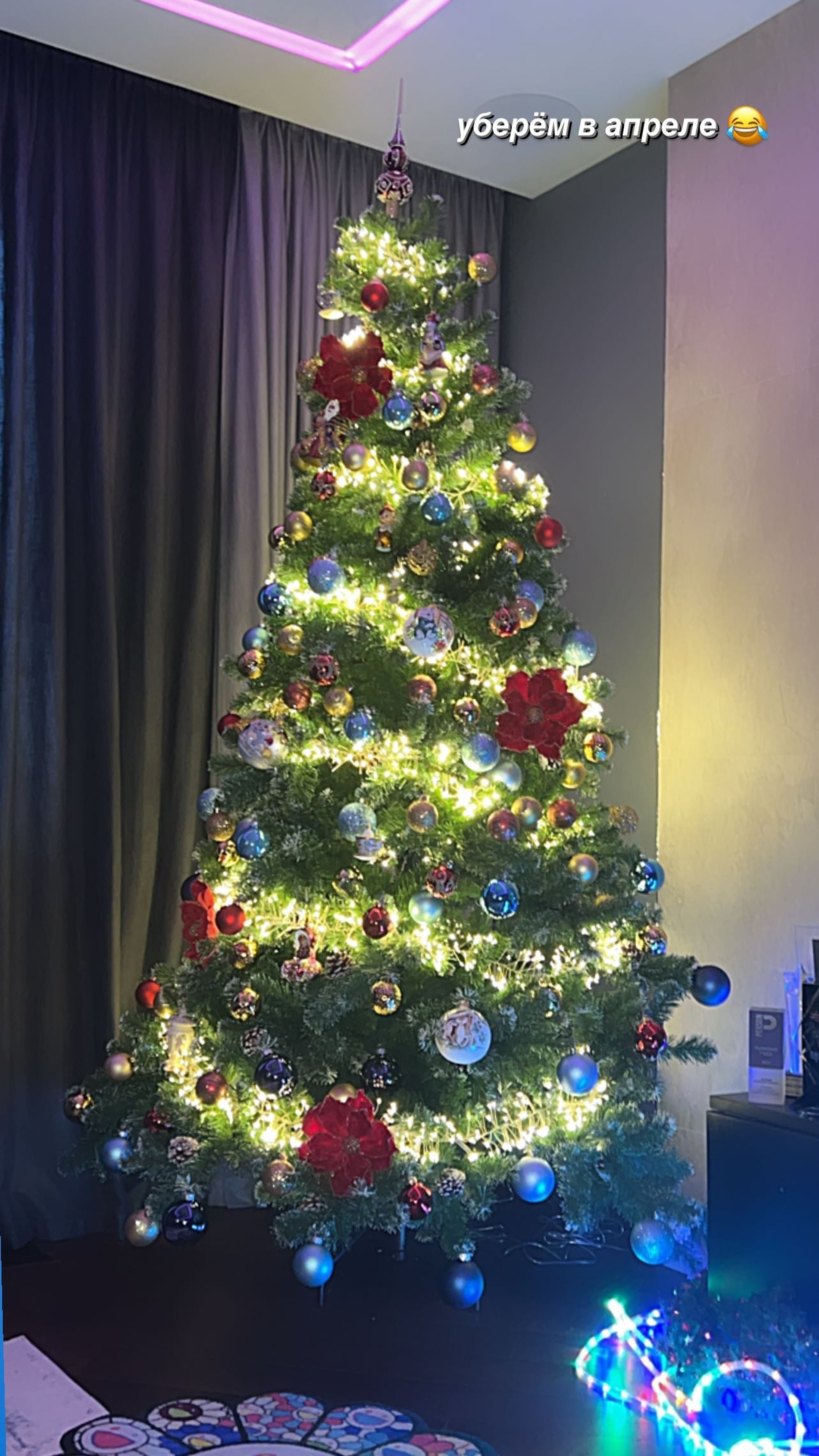 Тиктокерша показала свою елку
Фото: Инстаграм (запрещен в РФ)