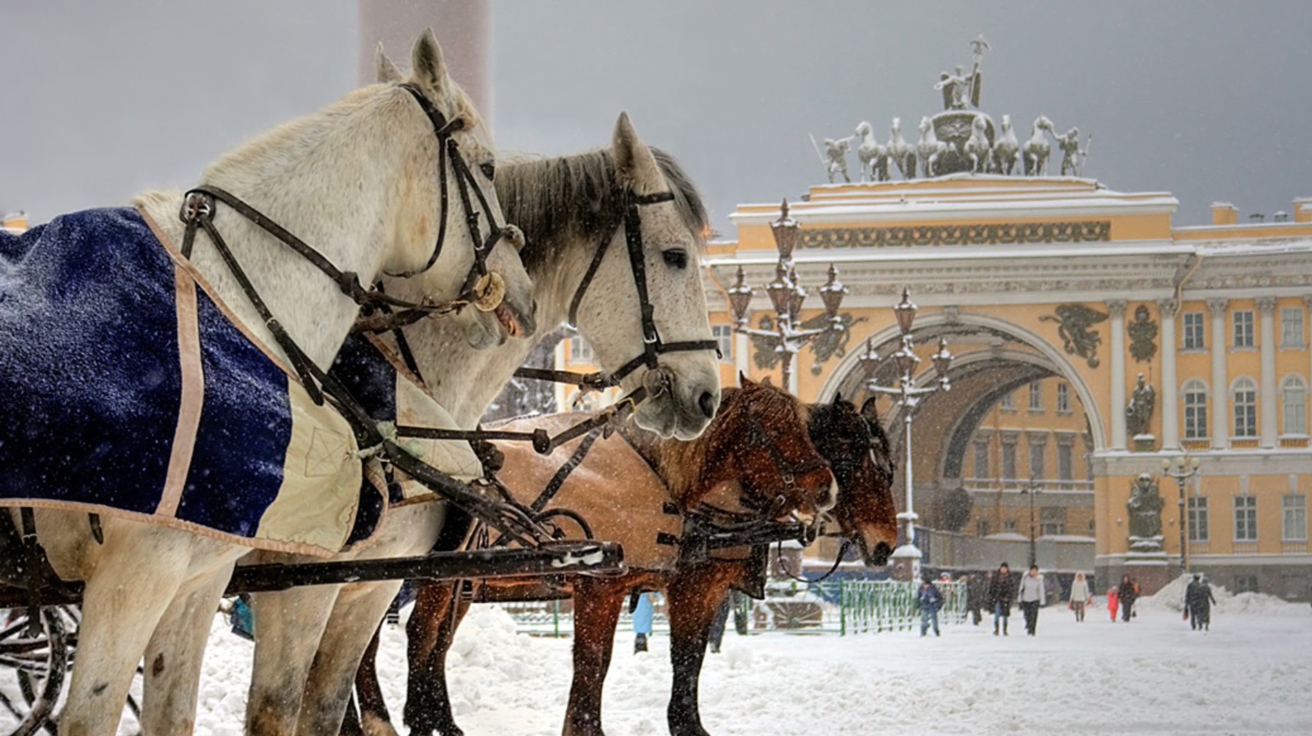 Дворцовая площадь в Санкт Петербурге кони