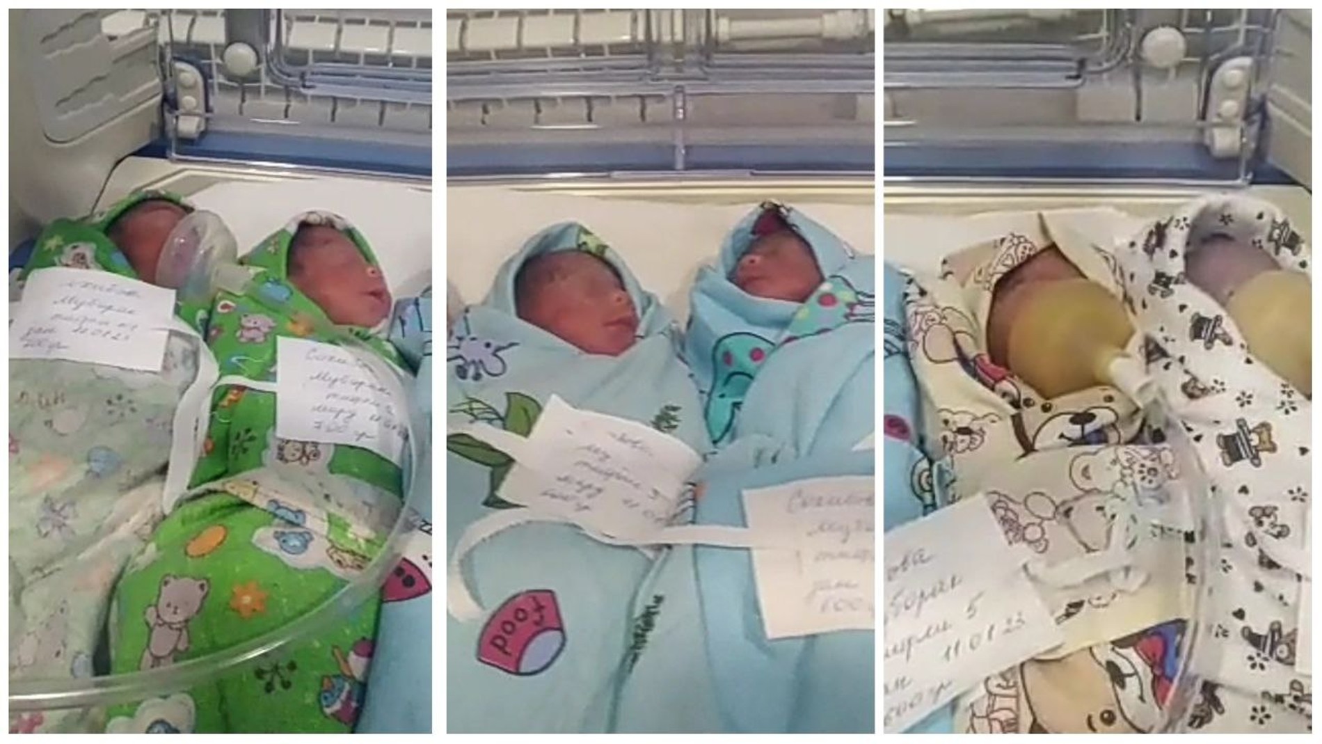 Шестерняшки, родившиеся в Таджикистане
Фото: asiaplustj.info