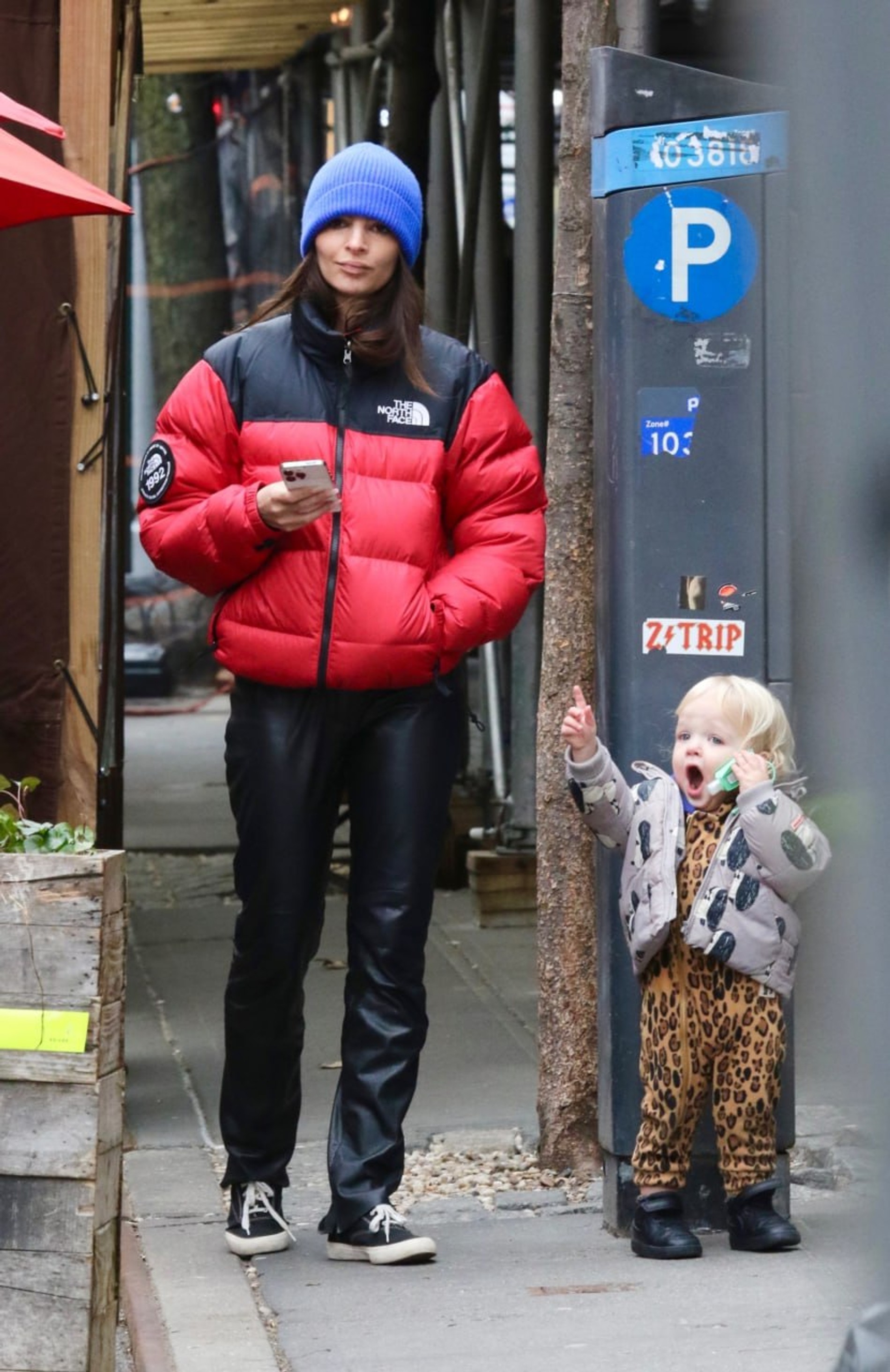 Эмили и Сильвестр