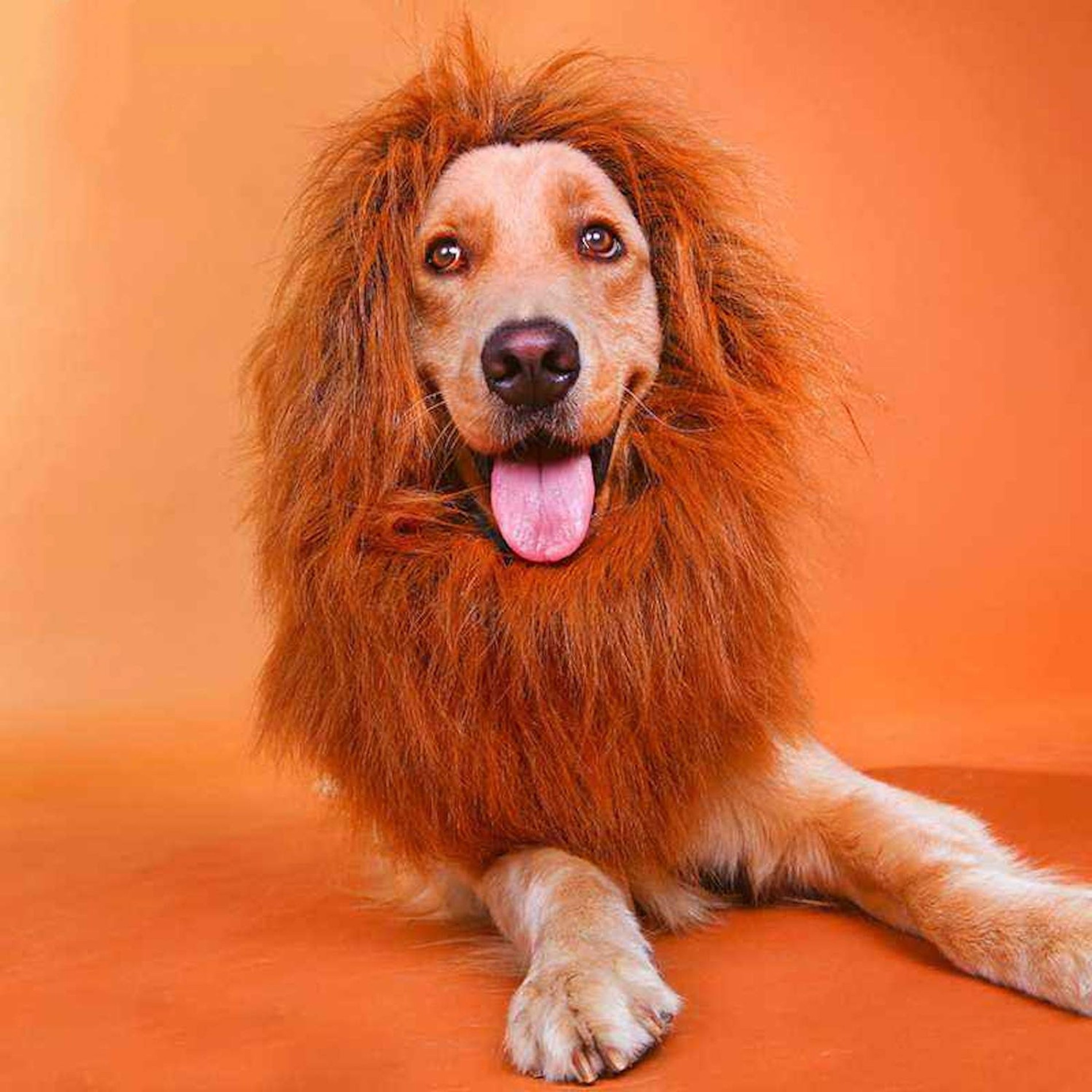 Фото: архив пресс-службы