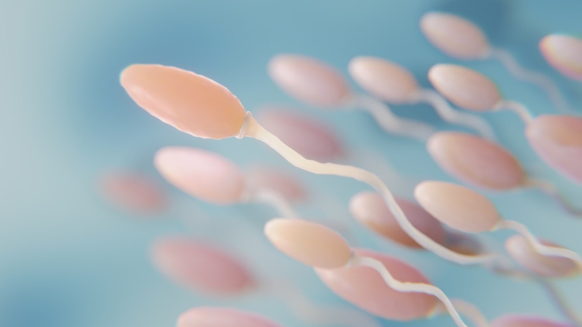 нужна ли вся сперма для зачатия фото 61