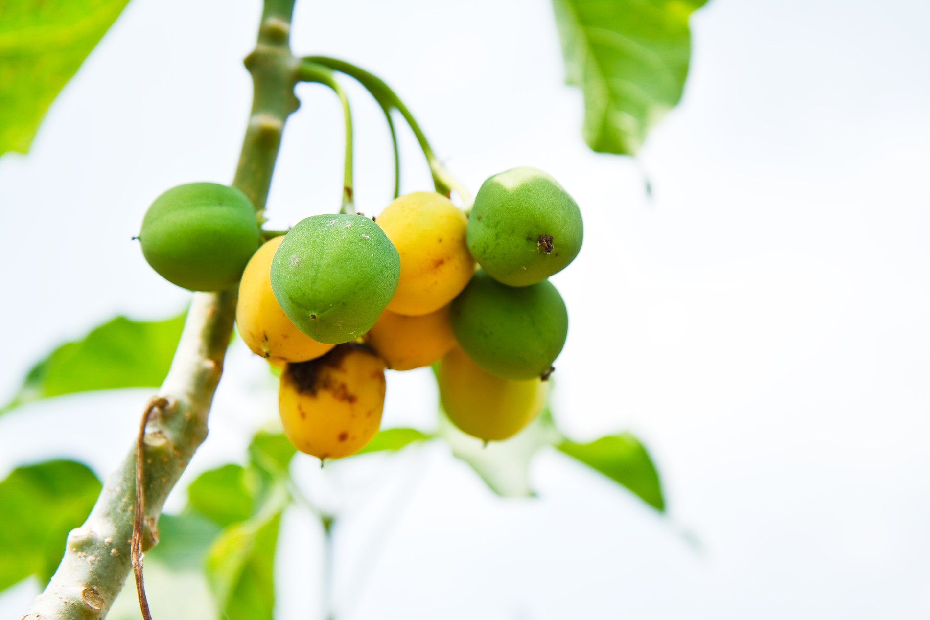 Фото: Getty Images