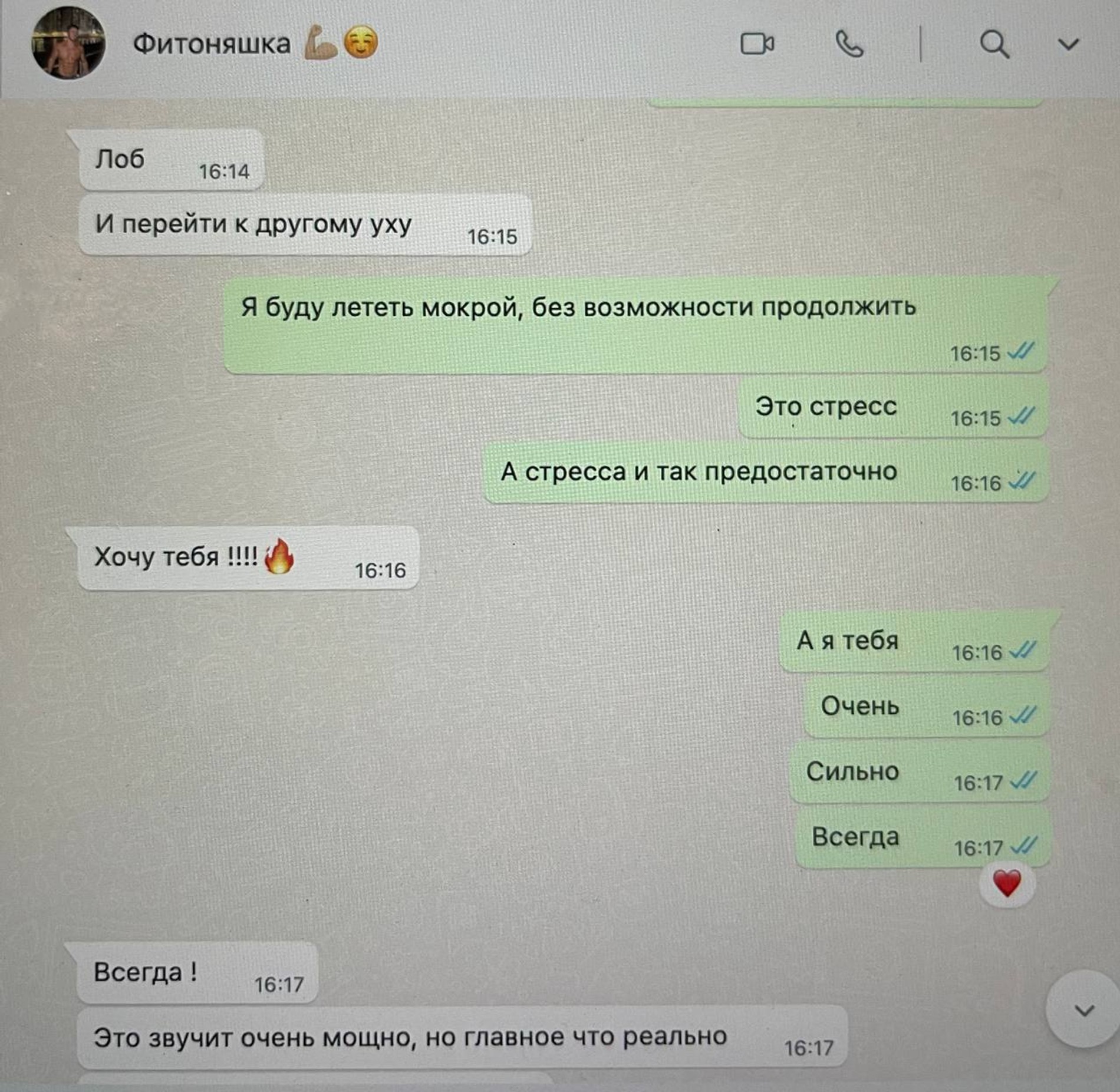 Скрины интимной переписки мужа с любовницей, которые выложила Марина Африкантова
Фото: Telegram-канал Afrikantova