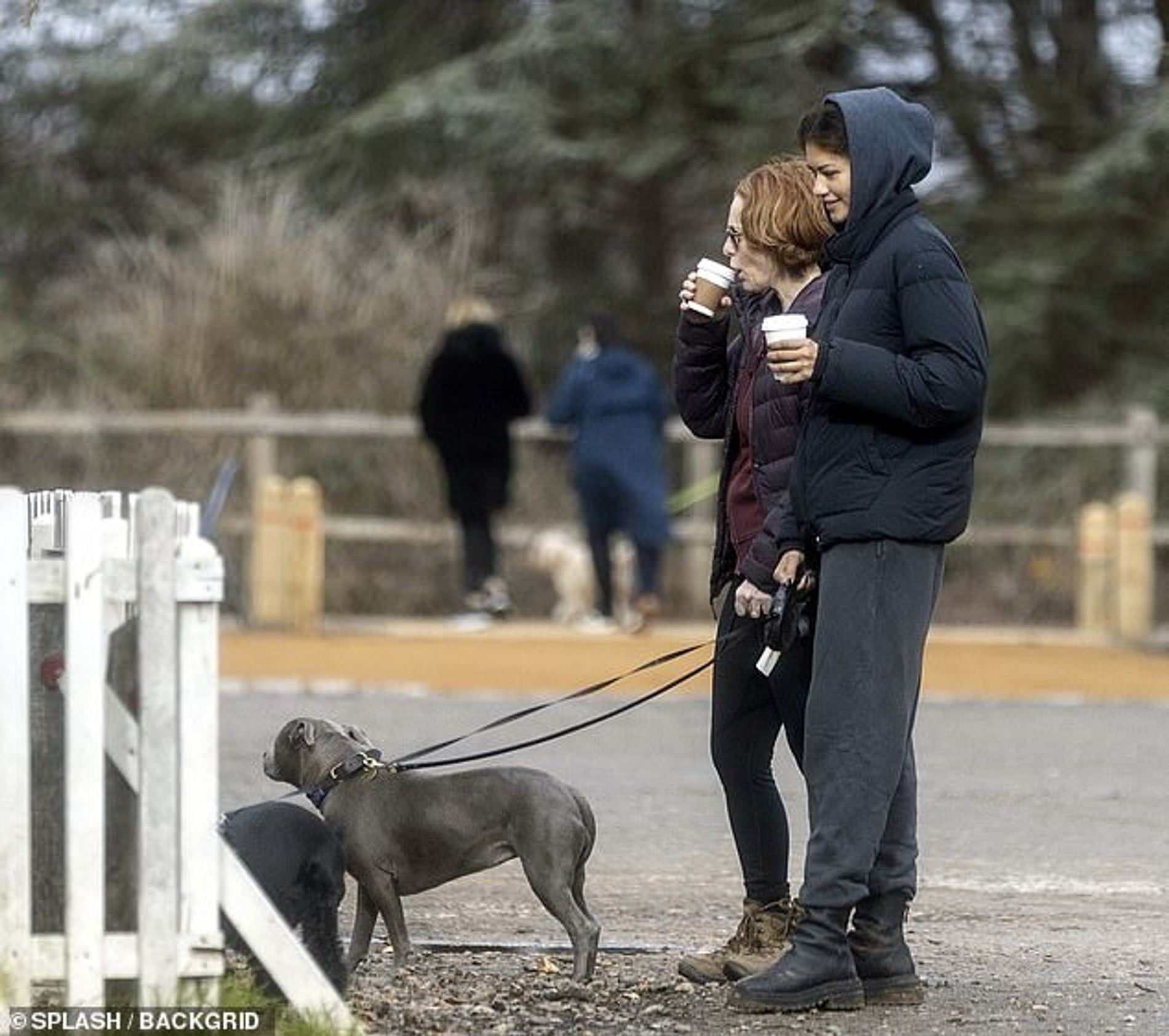 Зендея с мамой Тома
Фото: Daily Mail