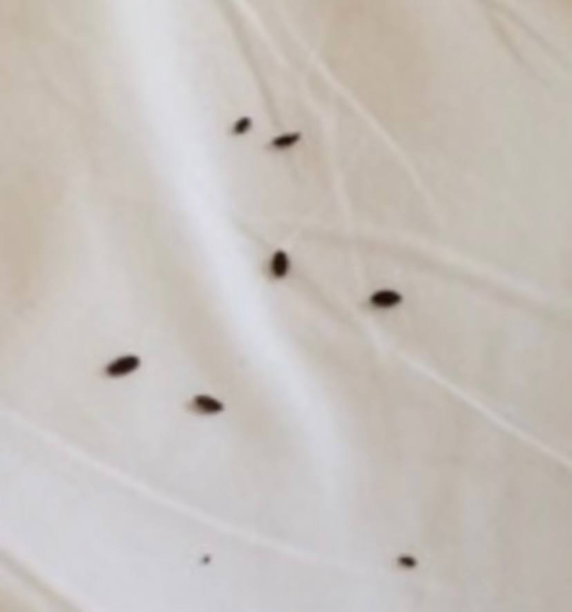 Фото из номера Тернеров
Фото: Daily Mail