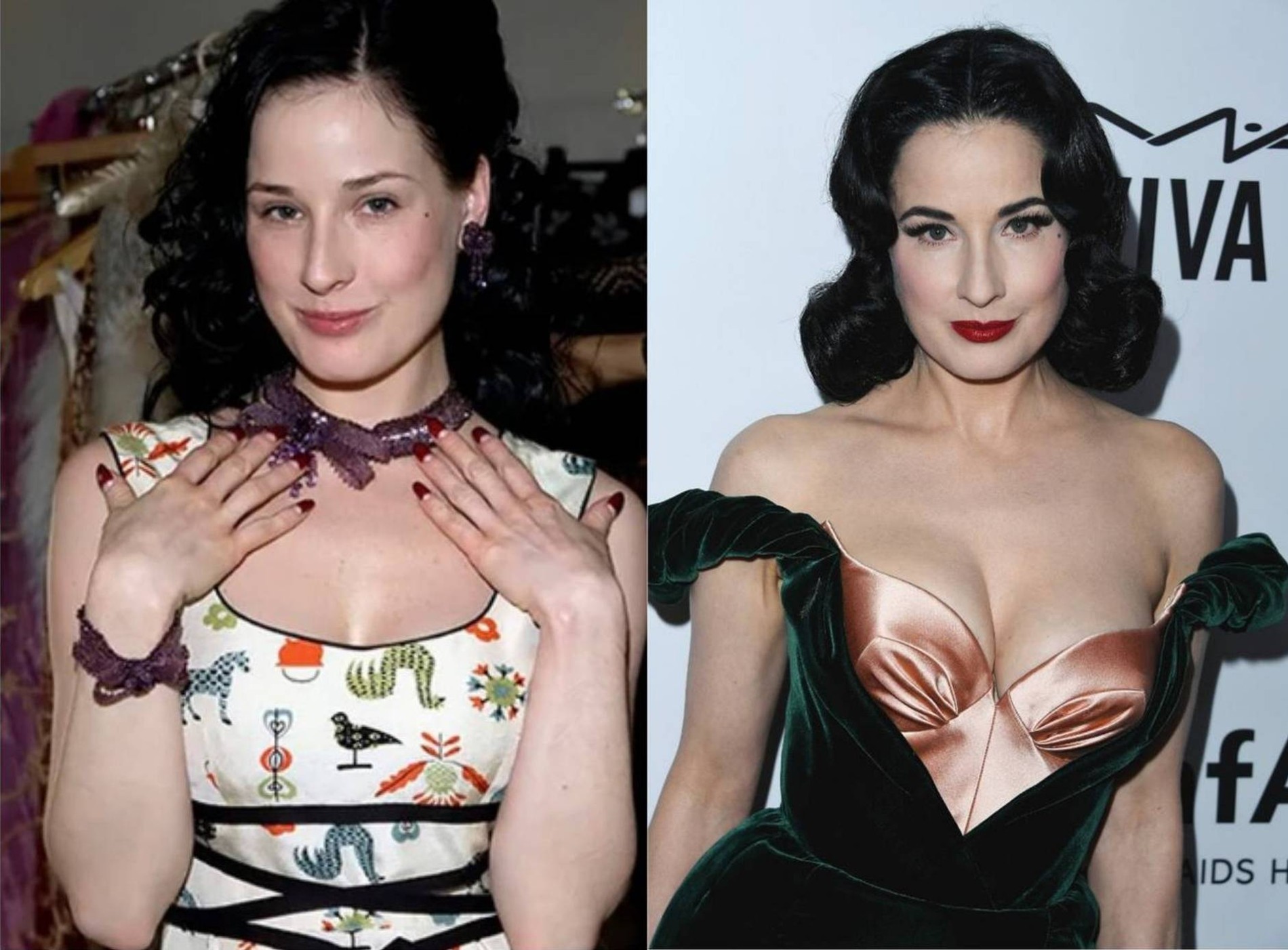 Голая Дита фон Тиз (Dita Von Teese) видео