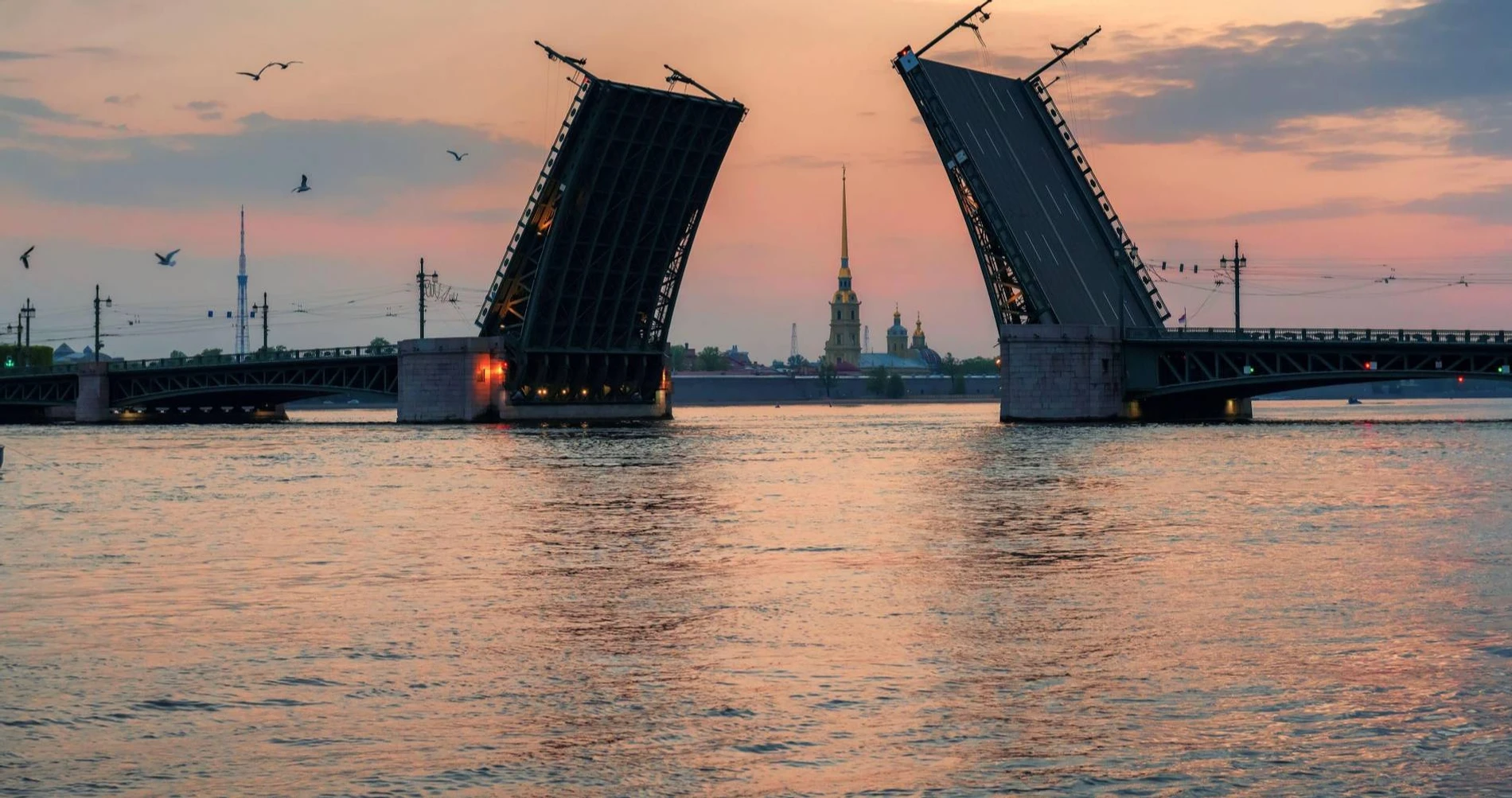 Петербурженка погибла во время свидания, упав в котлован разведенного  моста: жуткое видео