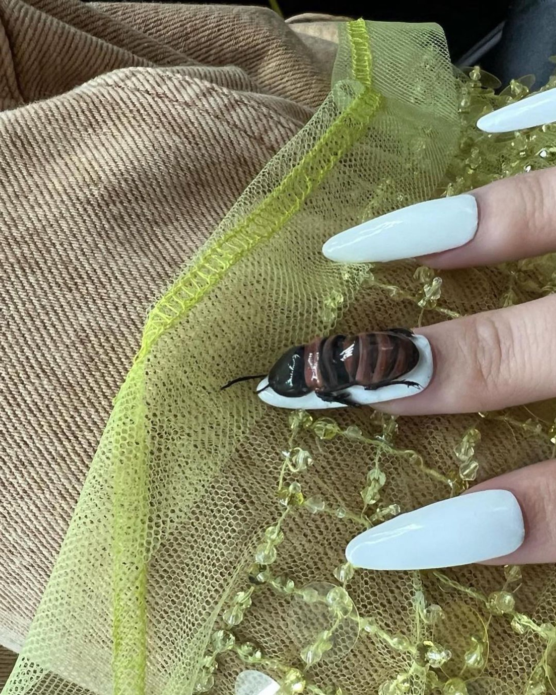 Тот самый таракан
Фото: Инстаграм* @notbad.as