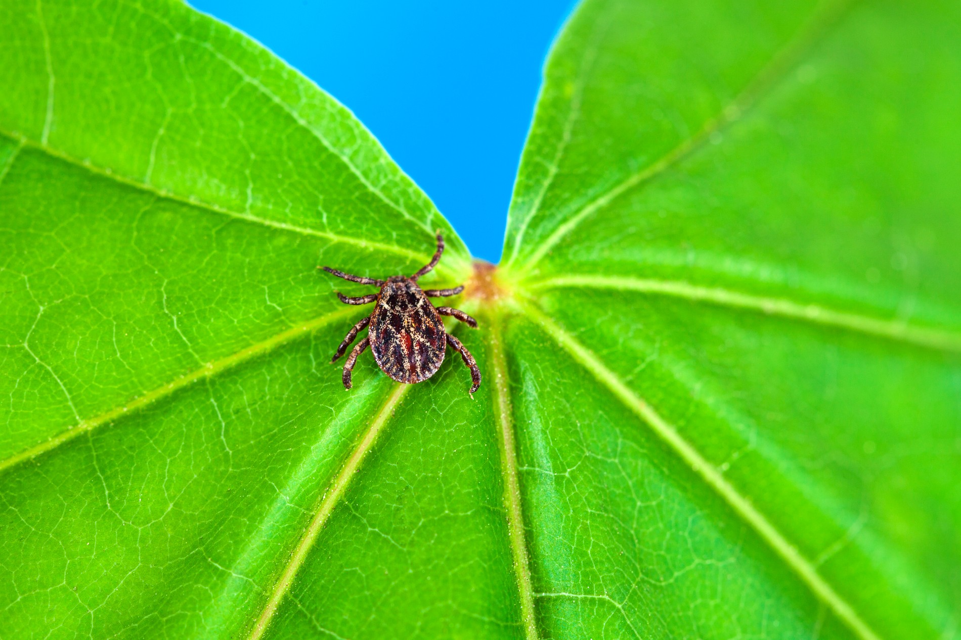 Фото: Getty Images