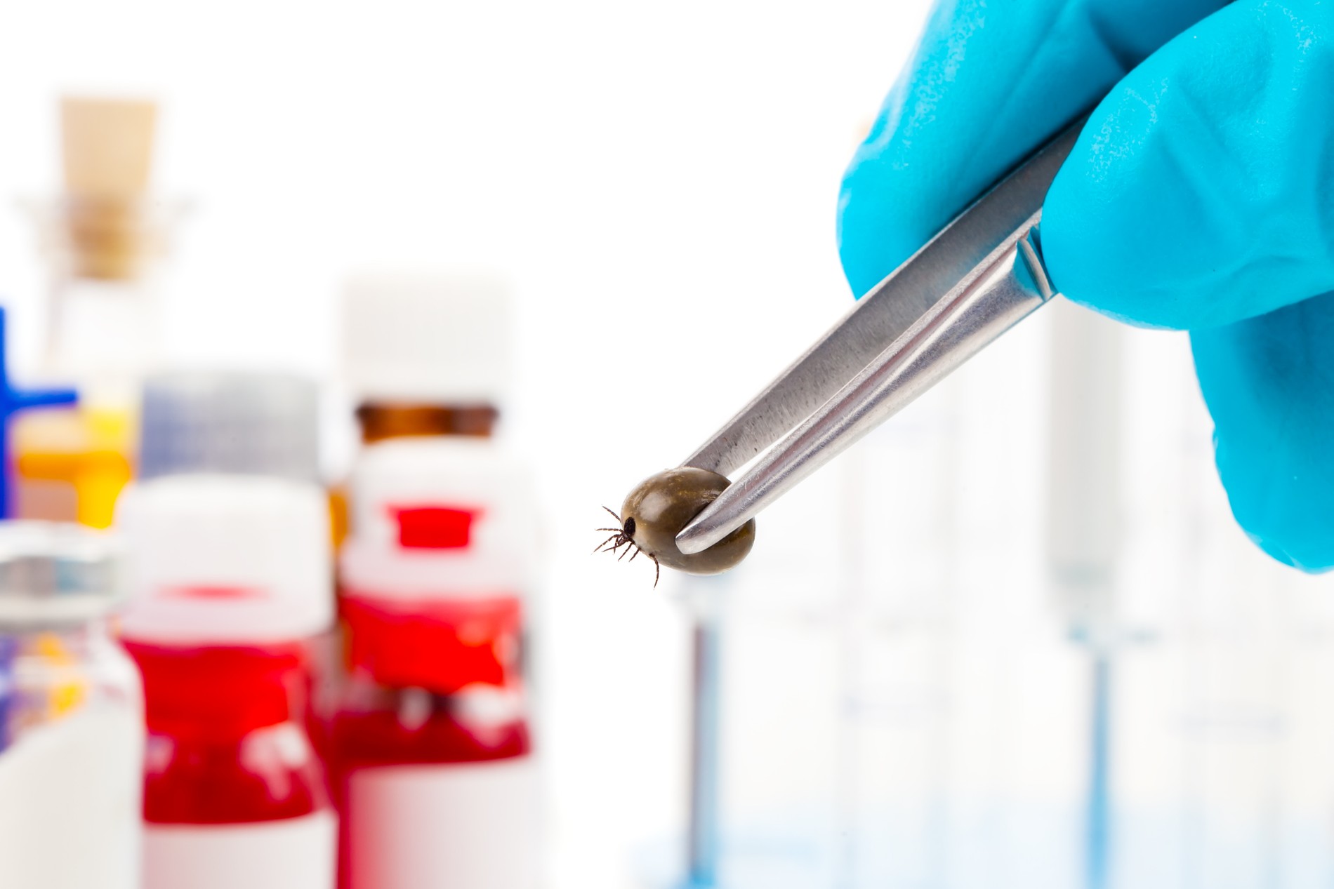 Фото: Getty Images