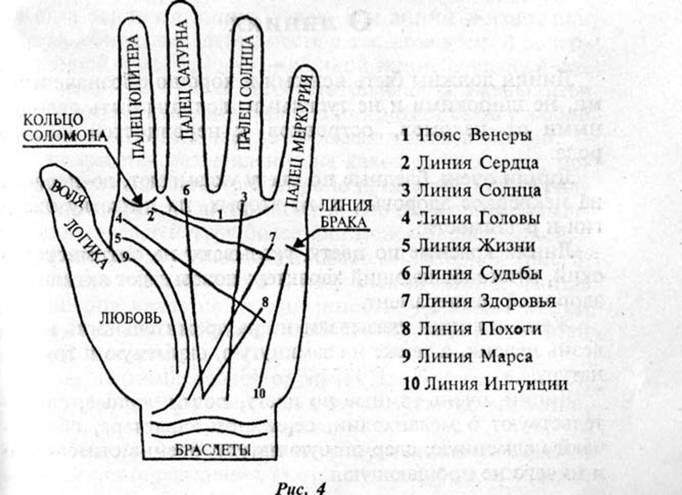 Что означают линии на ладонях