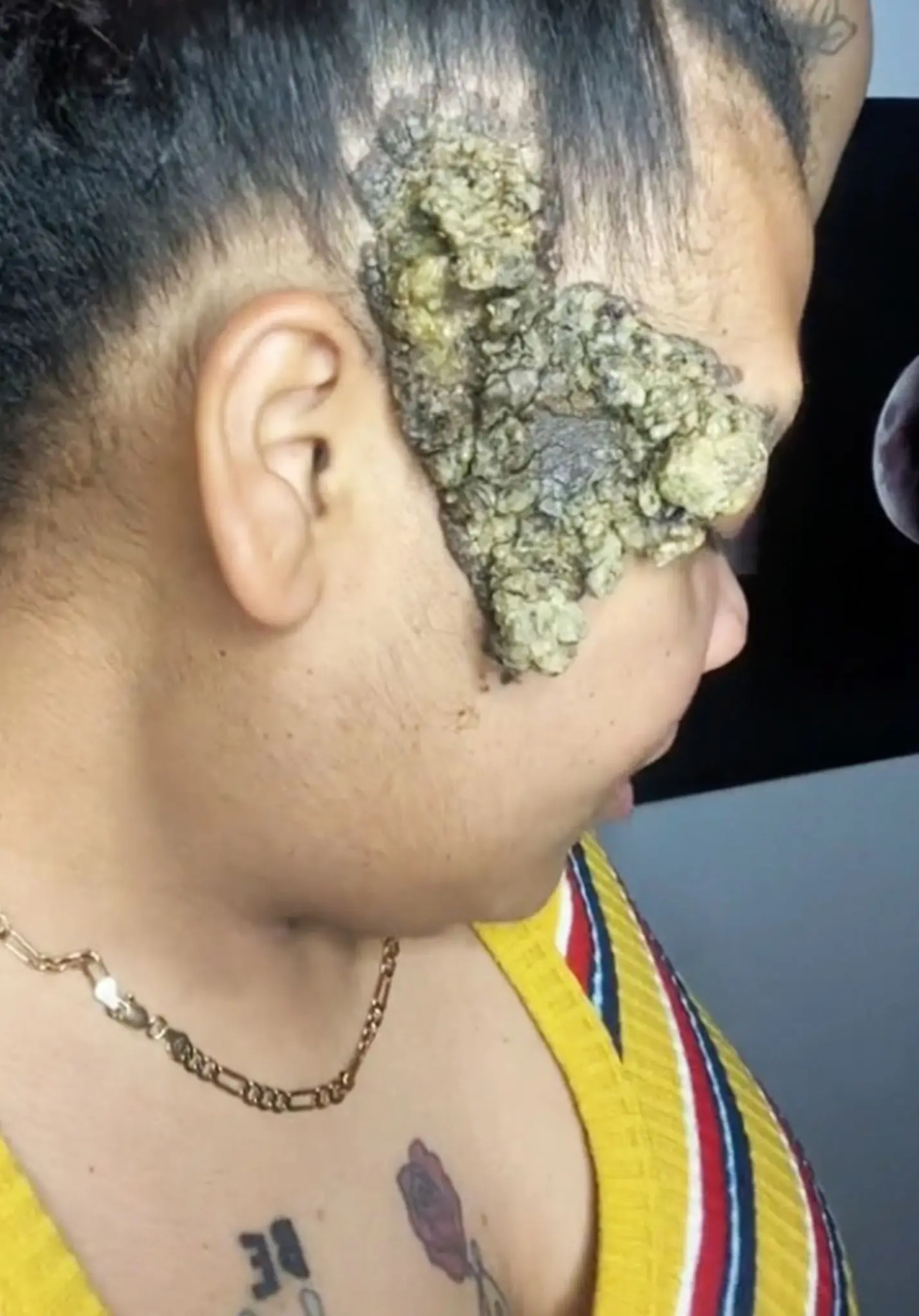 Джордан Лопес
Фото: ТикТок @girlwiththemark/ CATERS NEWS