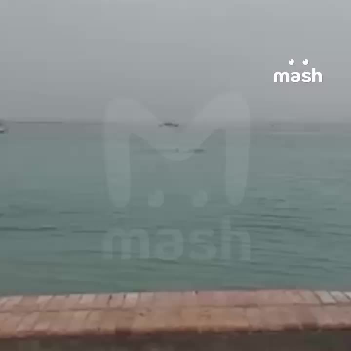 Акулы у пляжа