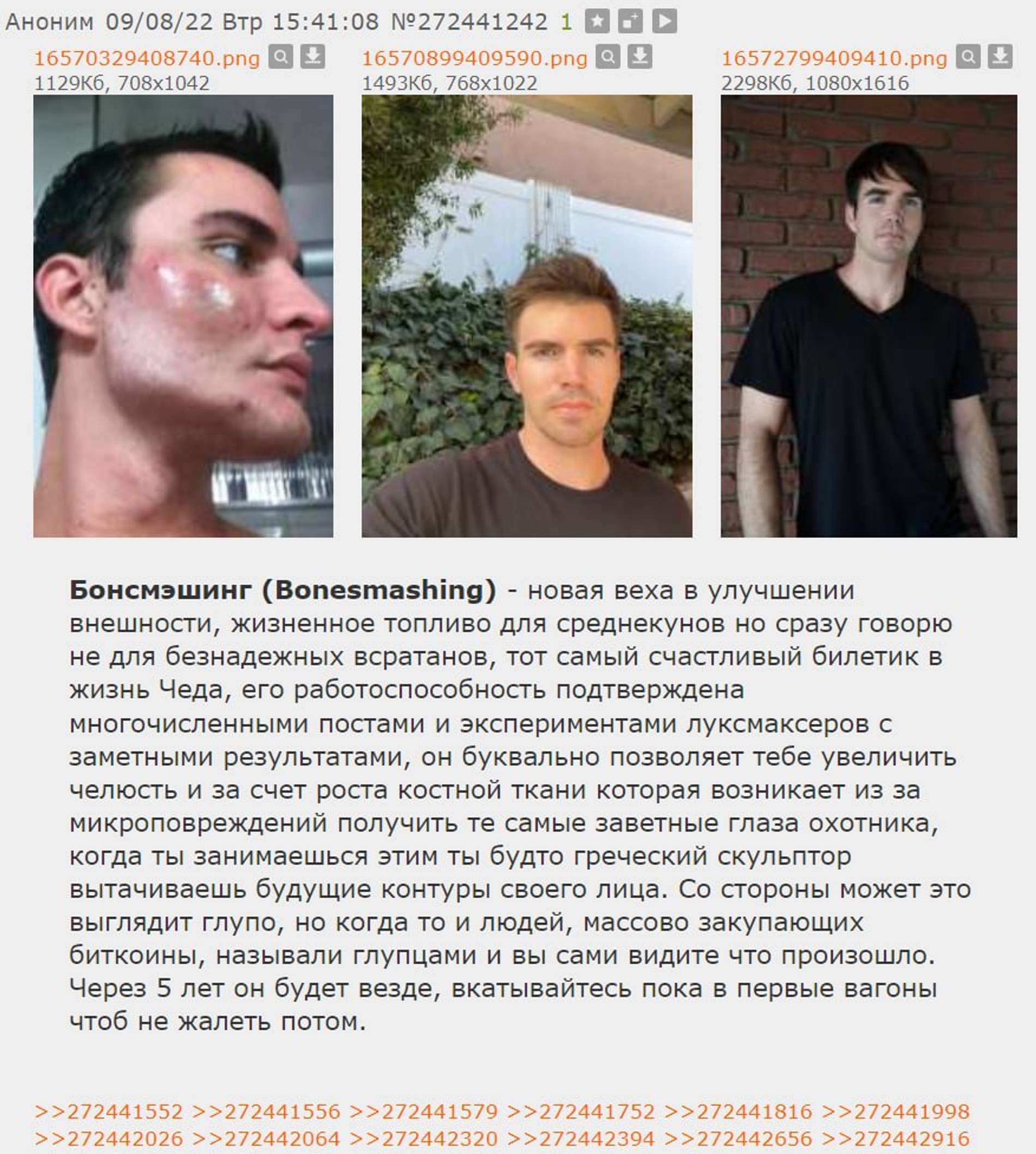 Пост о бонсмэшинге на «Дваче». Источник: 2ch.hk