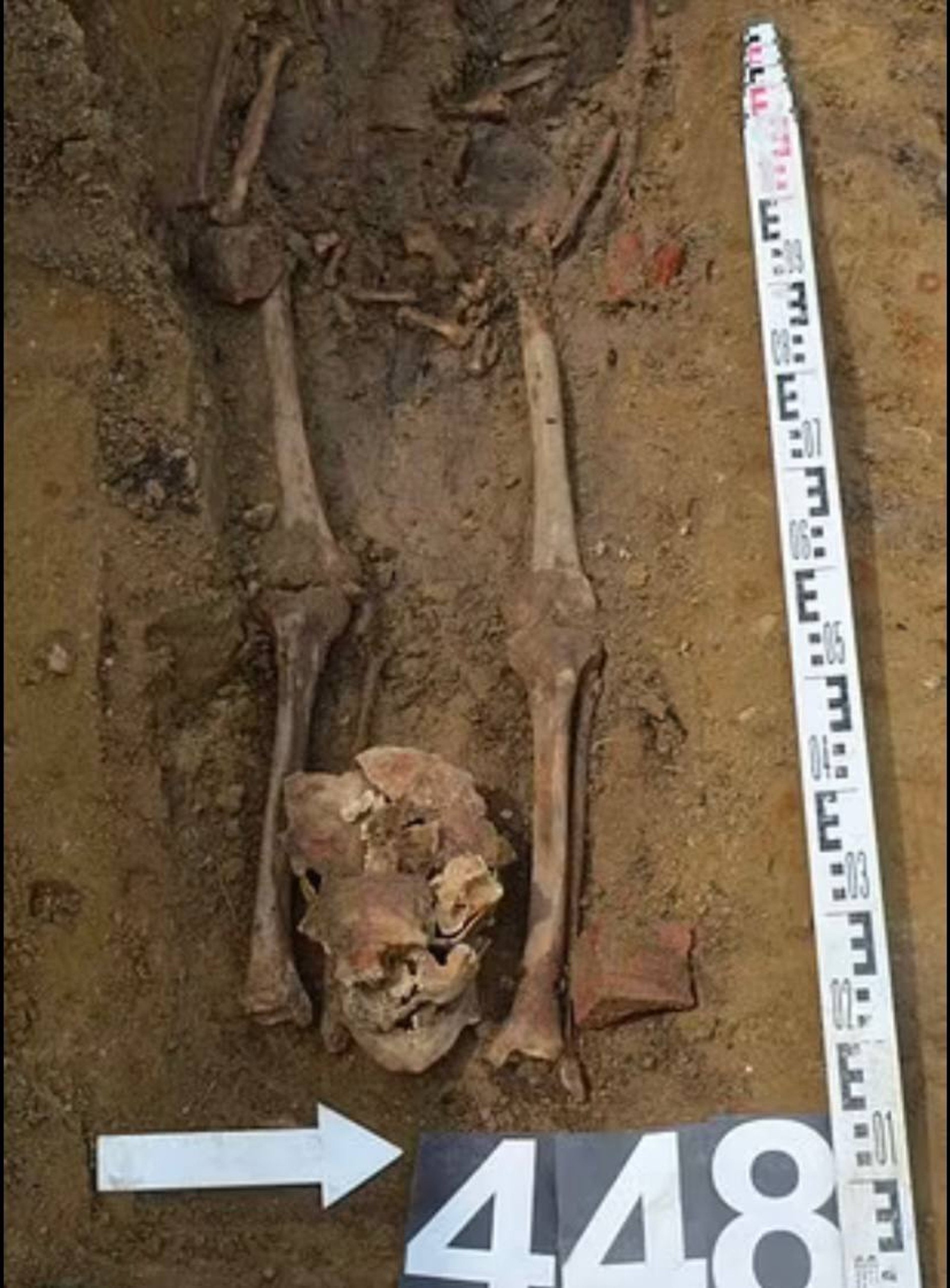 Фото: Daily Mail