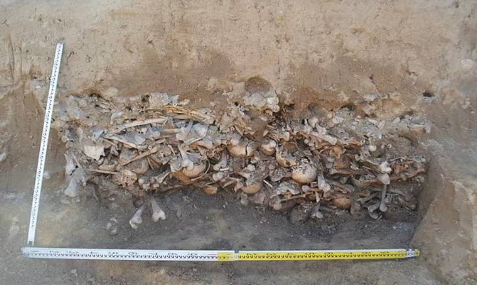 Фото: Daily Mail