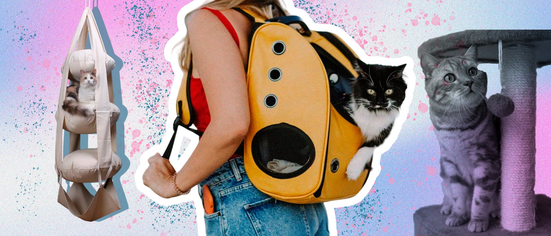 7 аксессуаров для кошек, которые сделают вашего питомца счастливее