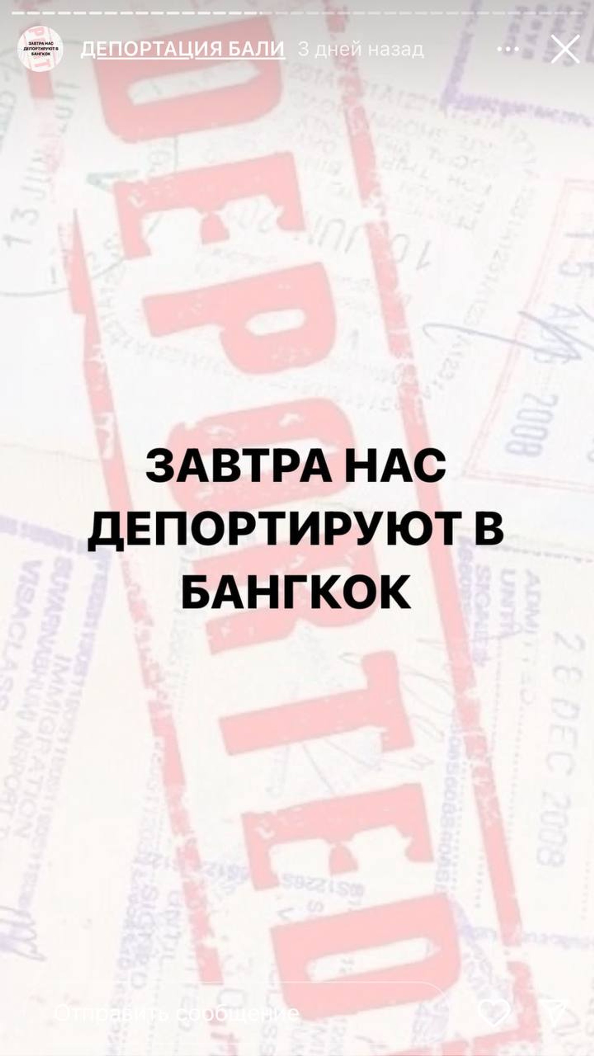 Фото: Инстаграм* @romashova.official