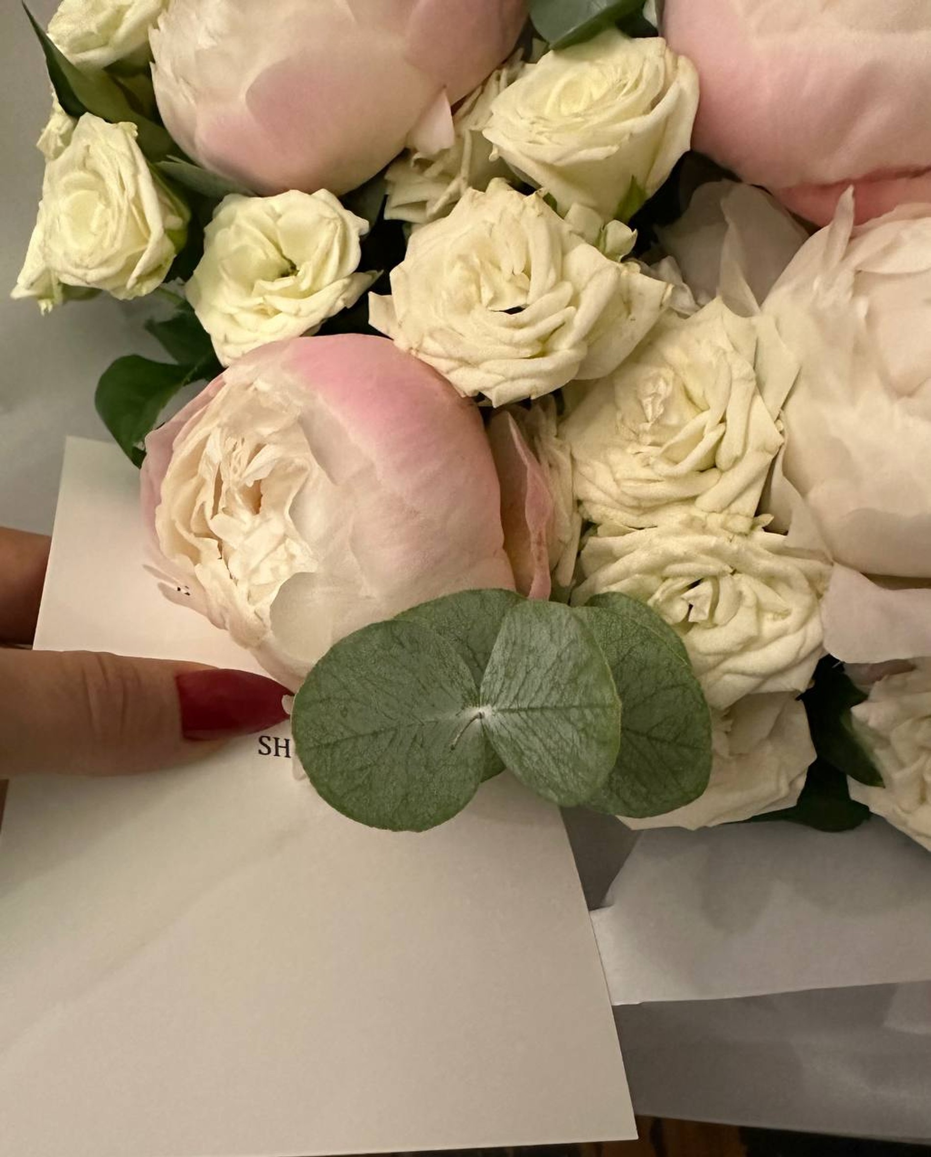 Фото: Telegram-канал Алены Водонаевой