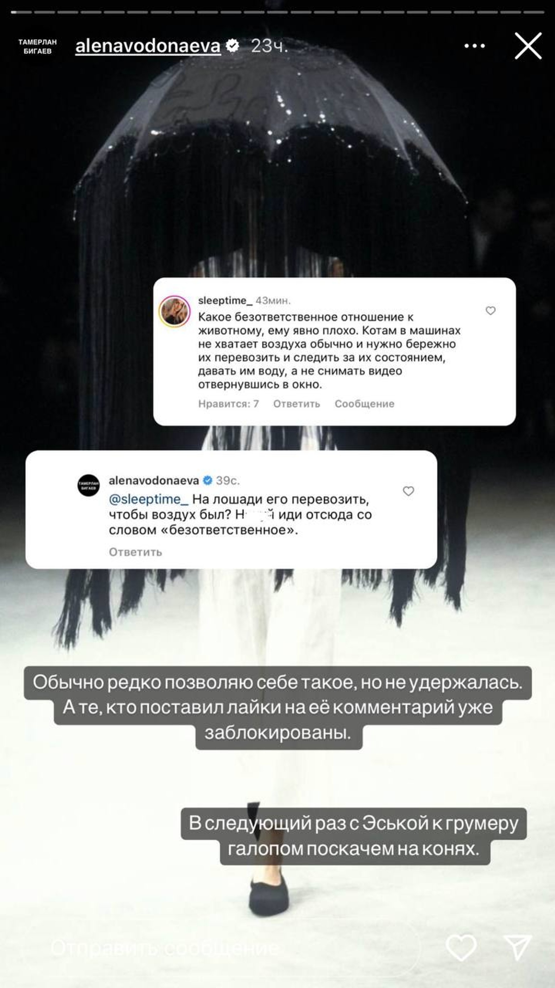 Скриншот: Инстаграм* @alenavodonaeva