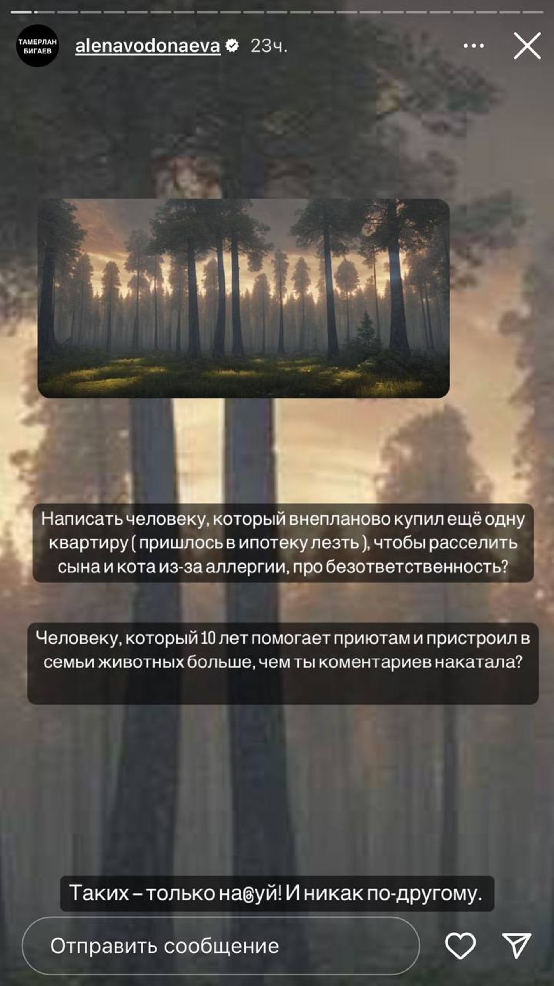 Скриншот: Инстаграм* @alenavodonaeva