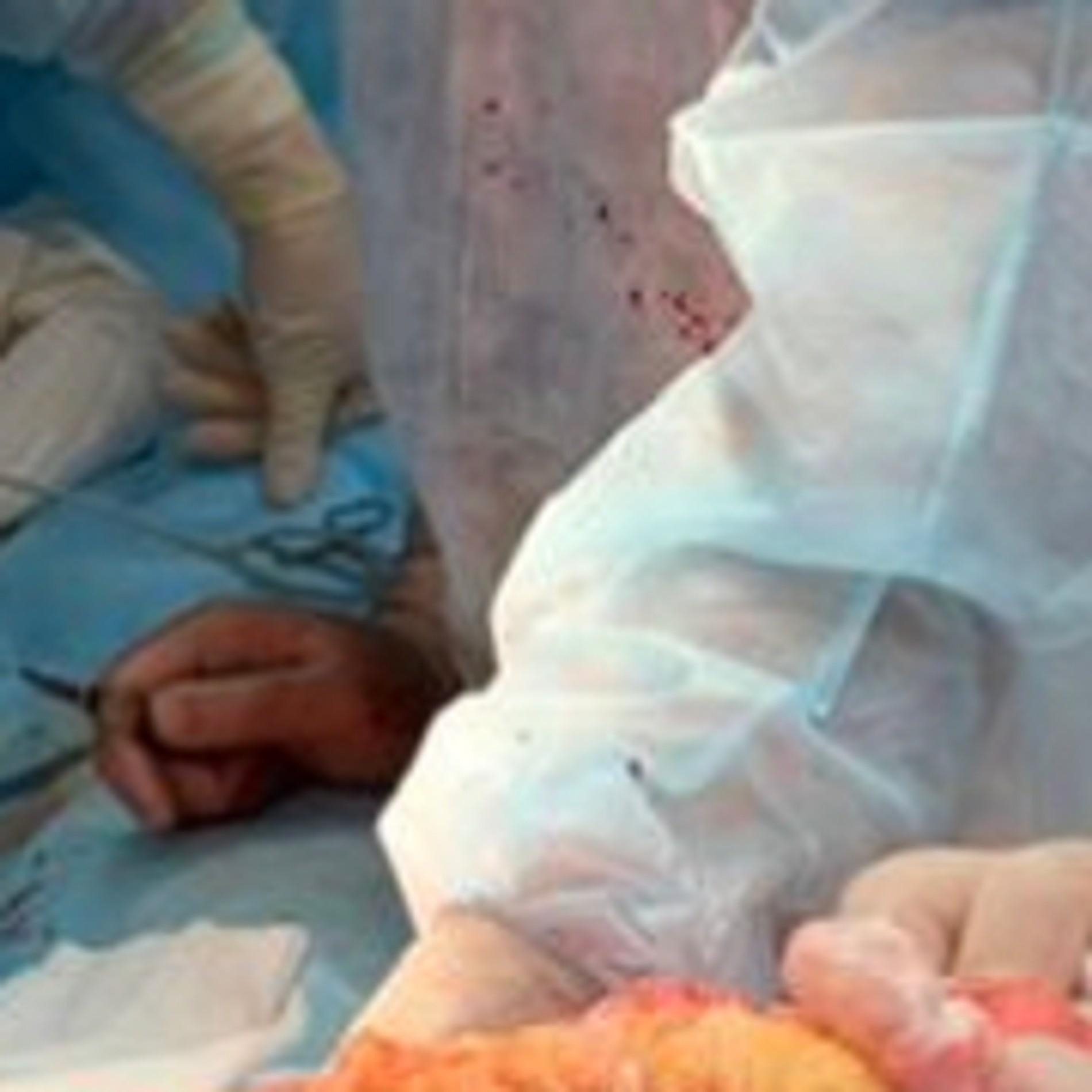 Фото предоставлены Super адвокатом Александром Добровинским