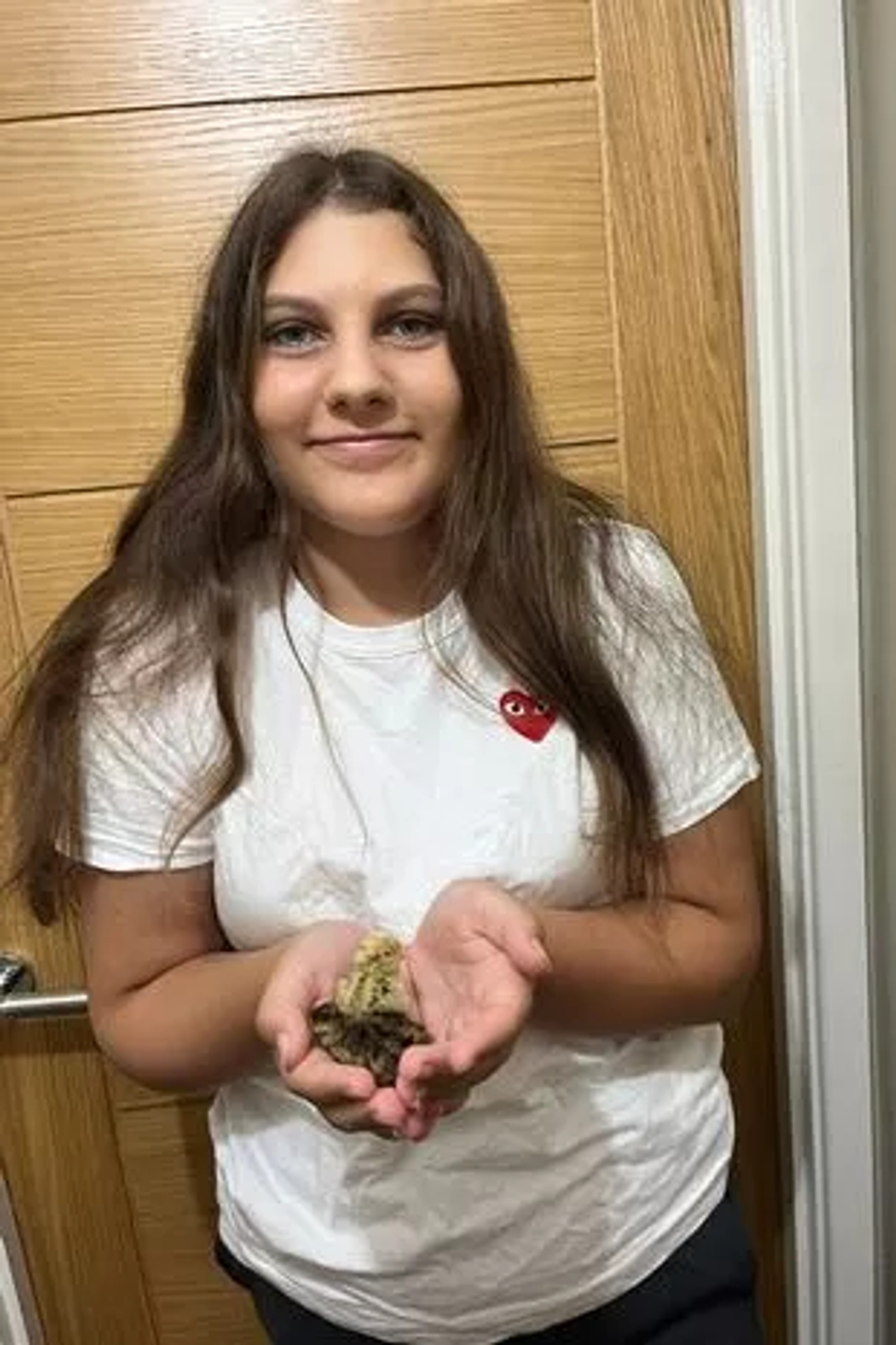 Зара с птенцами. Фото: соцсети