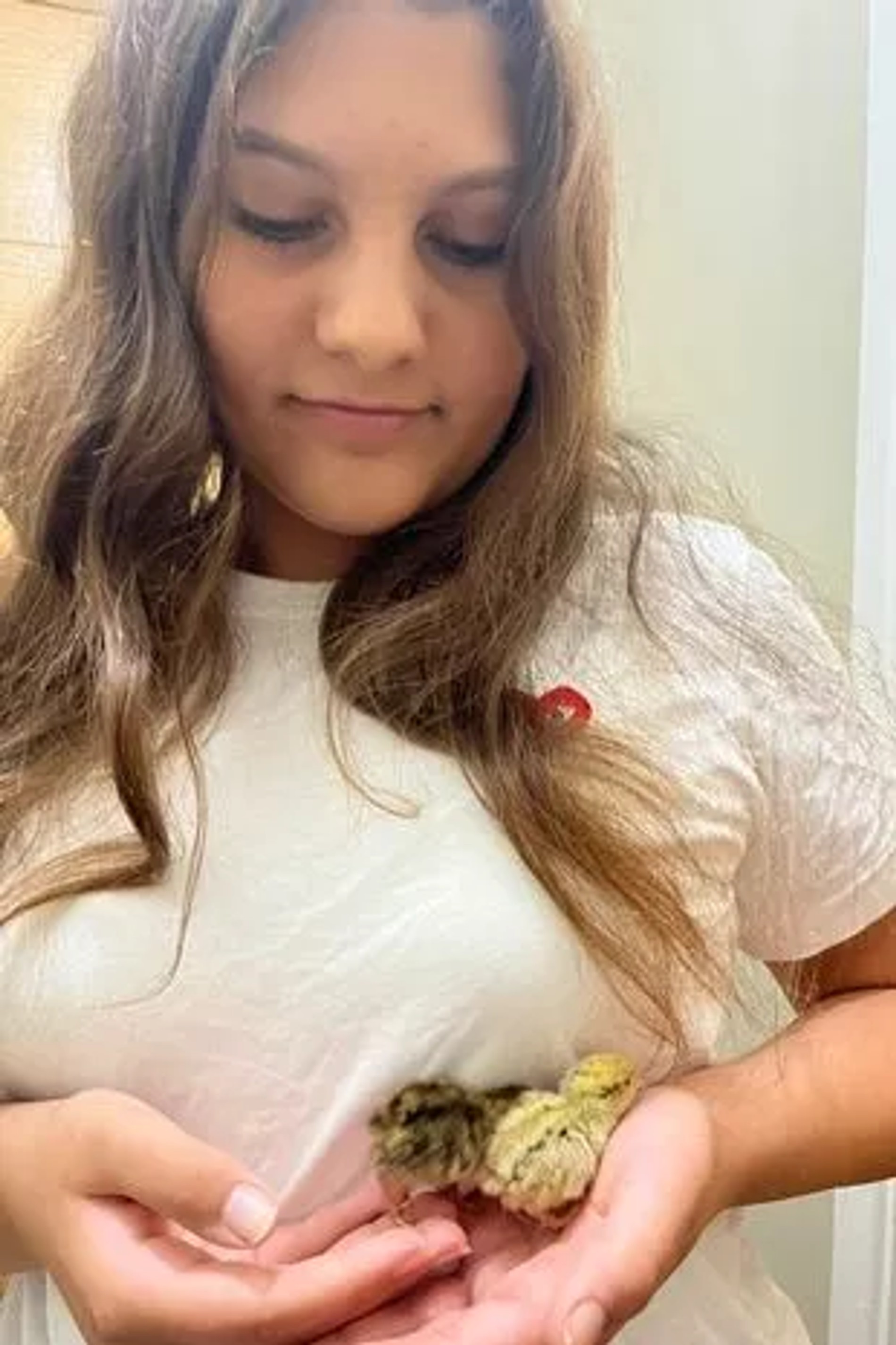 Зара с птенцами. Фото: соцсети