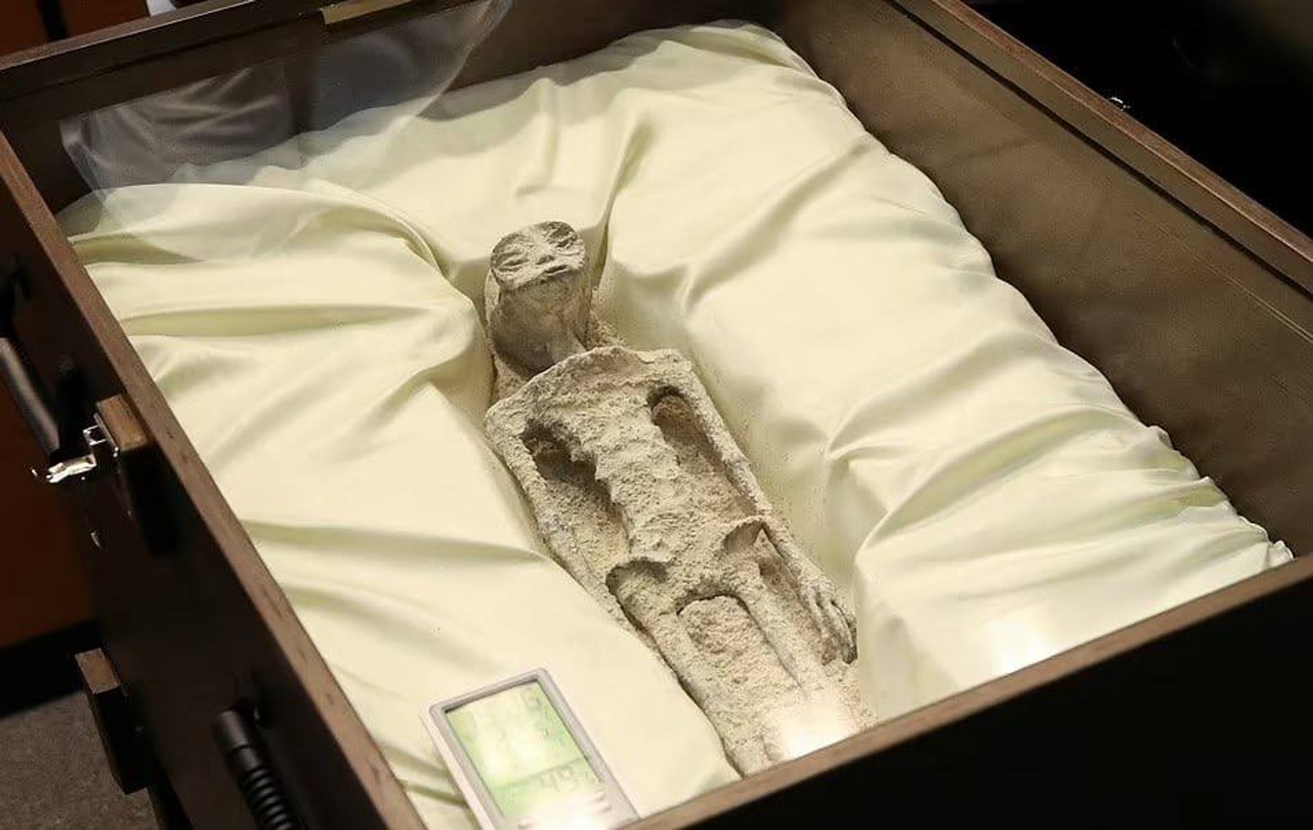 Фото: Daily Mail