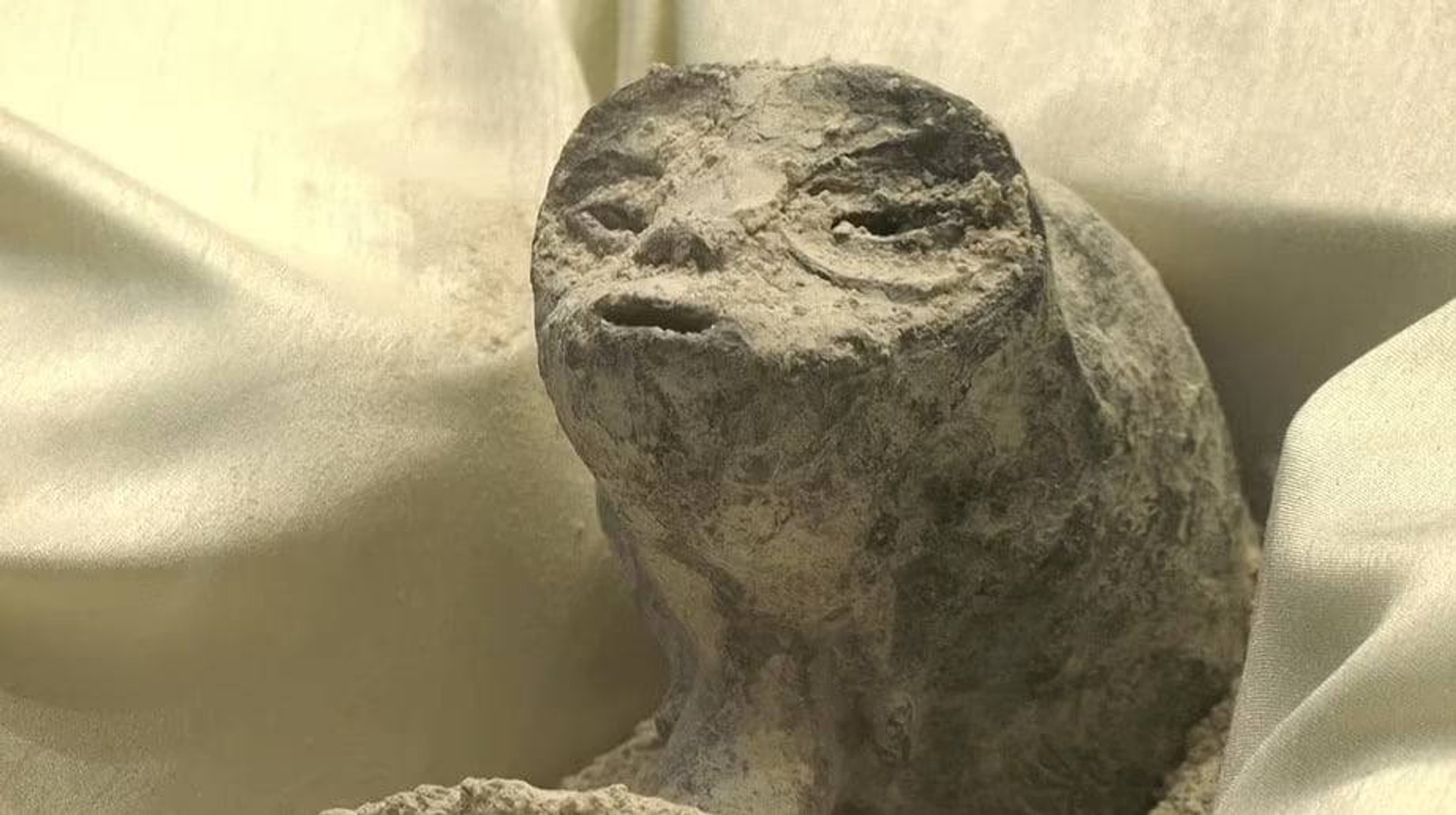 Фото: Daily Mail