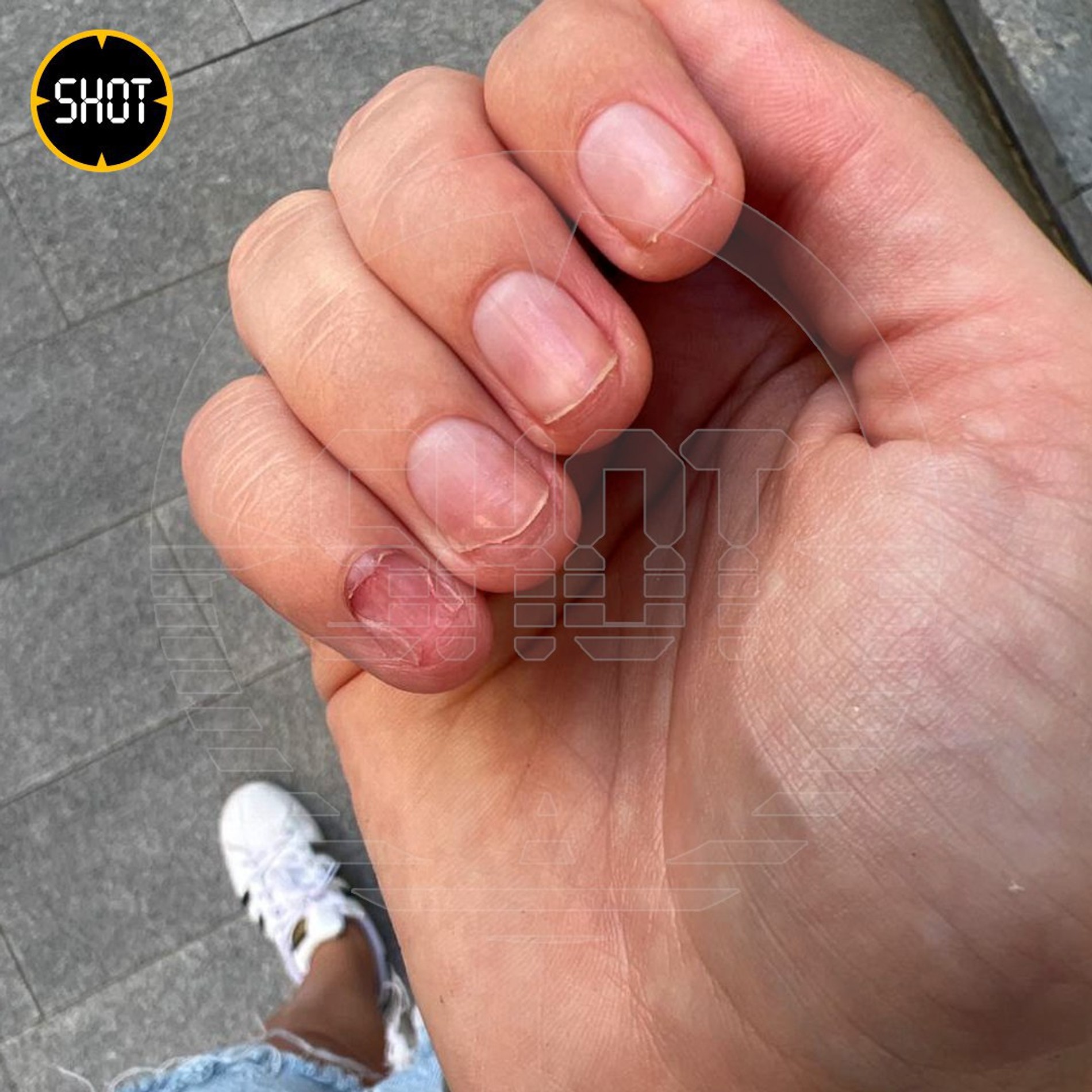 Фото: Telegram @shot_shot