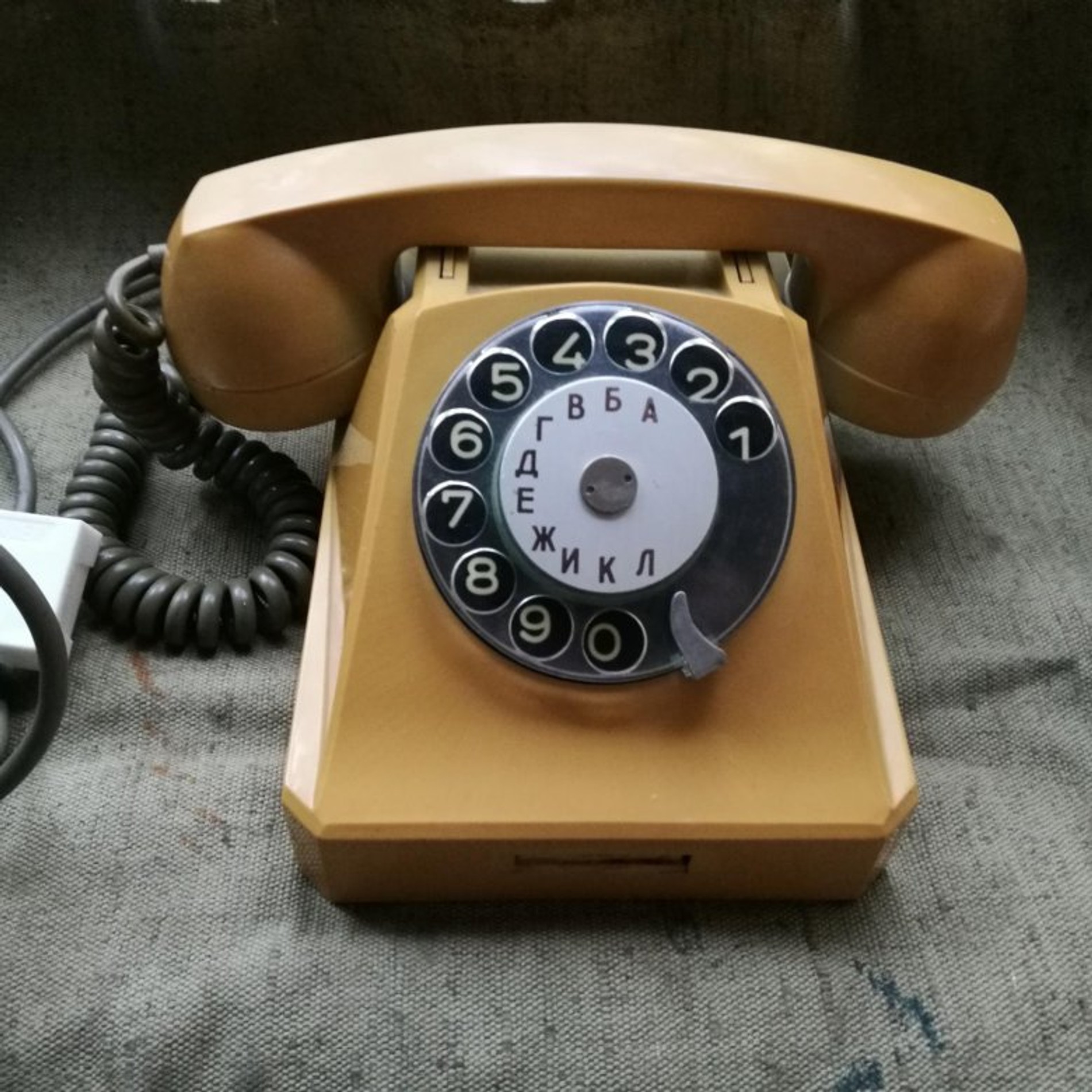 Фото: соцсети