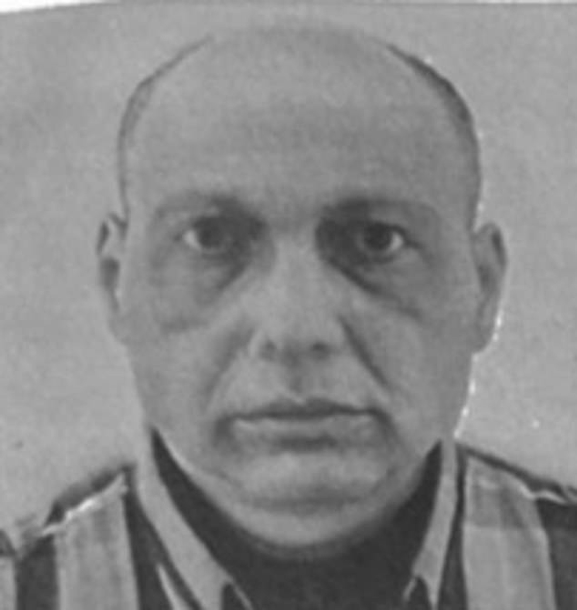 Шандор Борош. Фото: Daily Mail