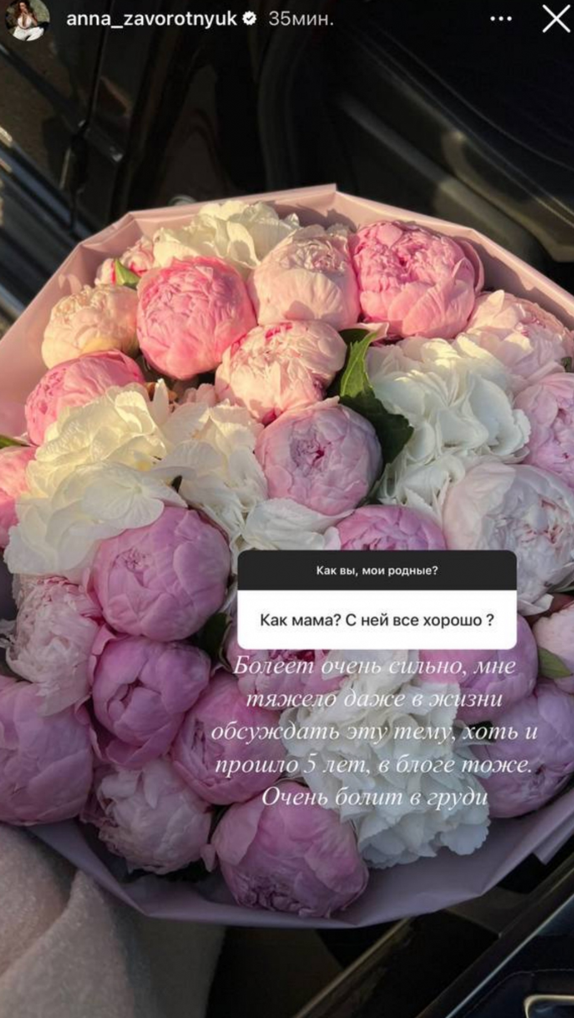 Фото: Инстаграм (запрещен в РФ) Анны Заворотнюк
