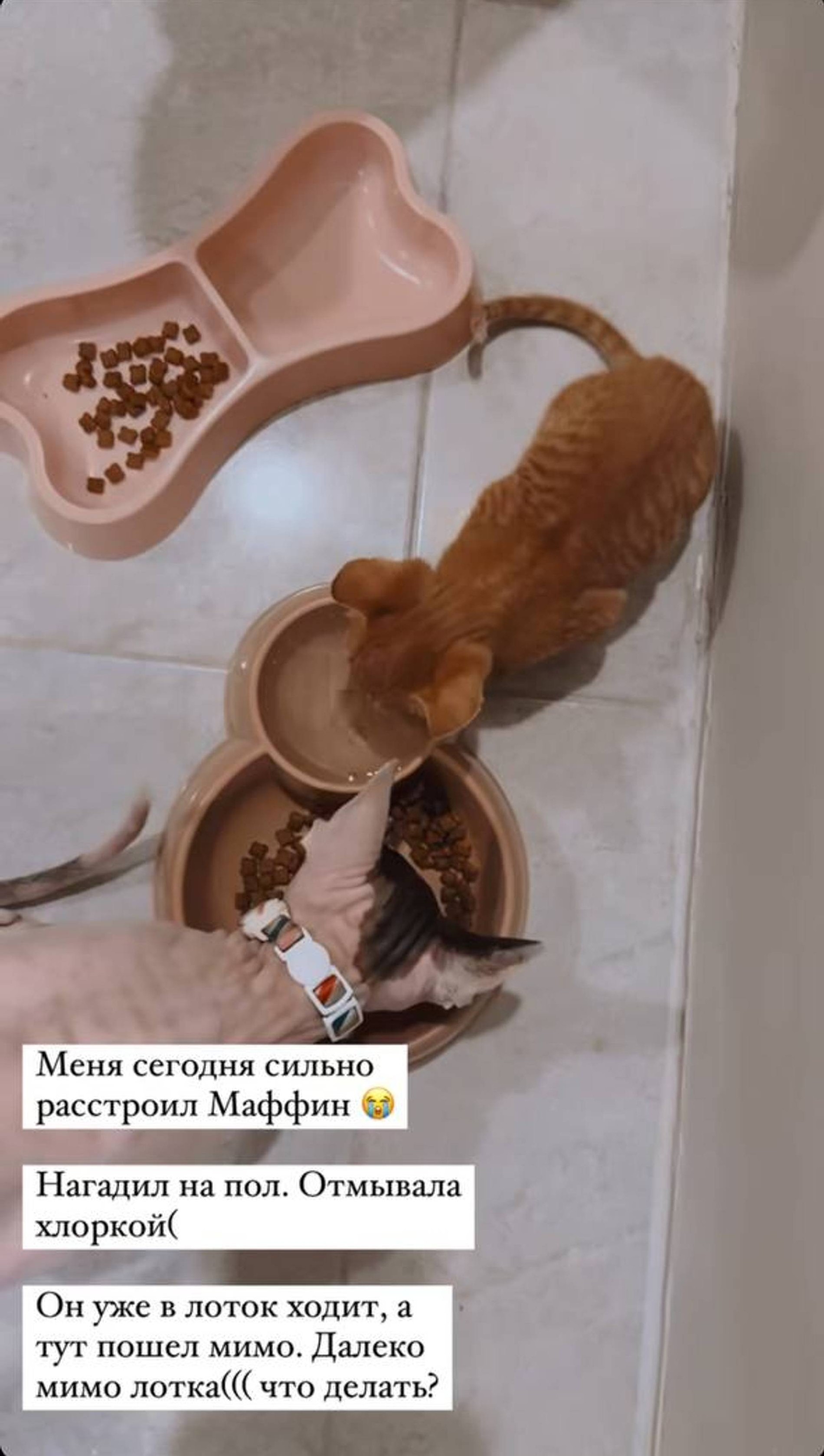 Скриншот: Инстаграм* @aizalovesam